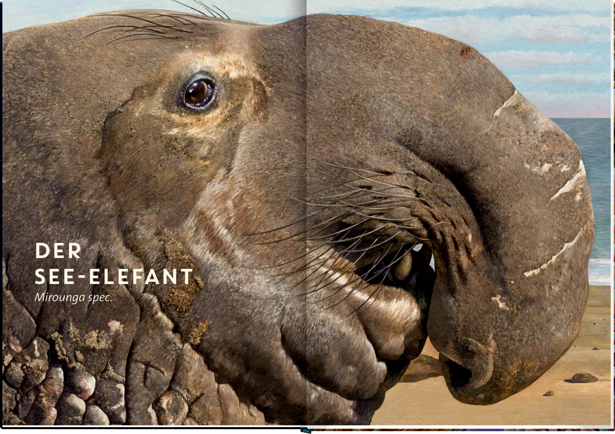 9783649640936_innenansicht_02 9783649640936_innenansicht_02.jpg