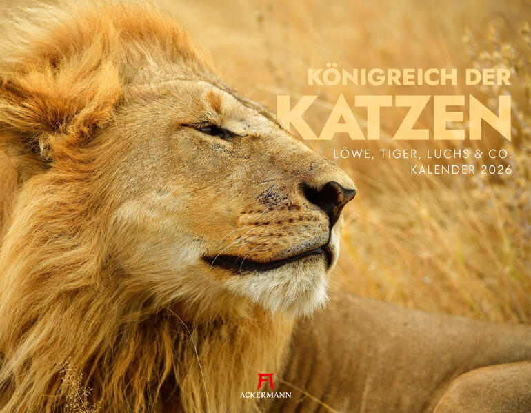 9783838436081 9783838436081