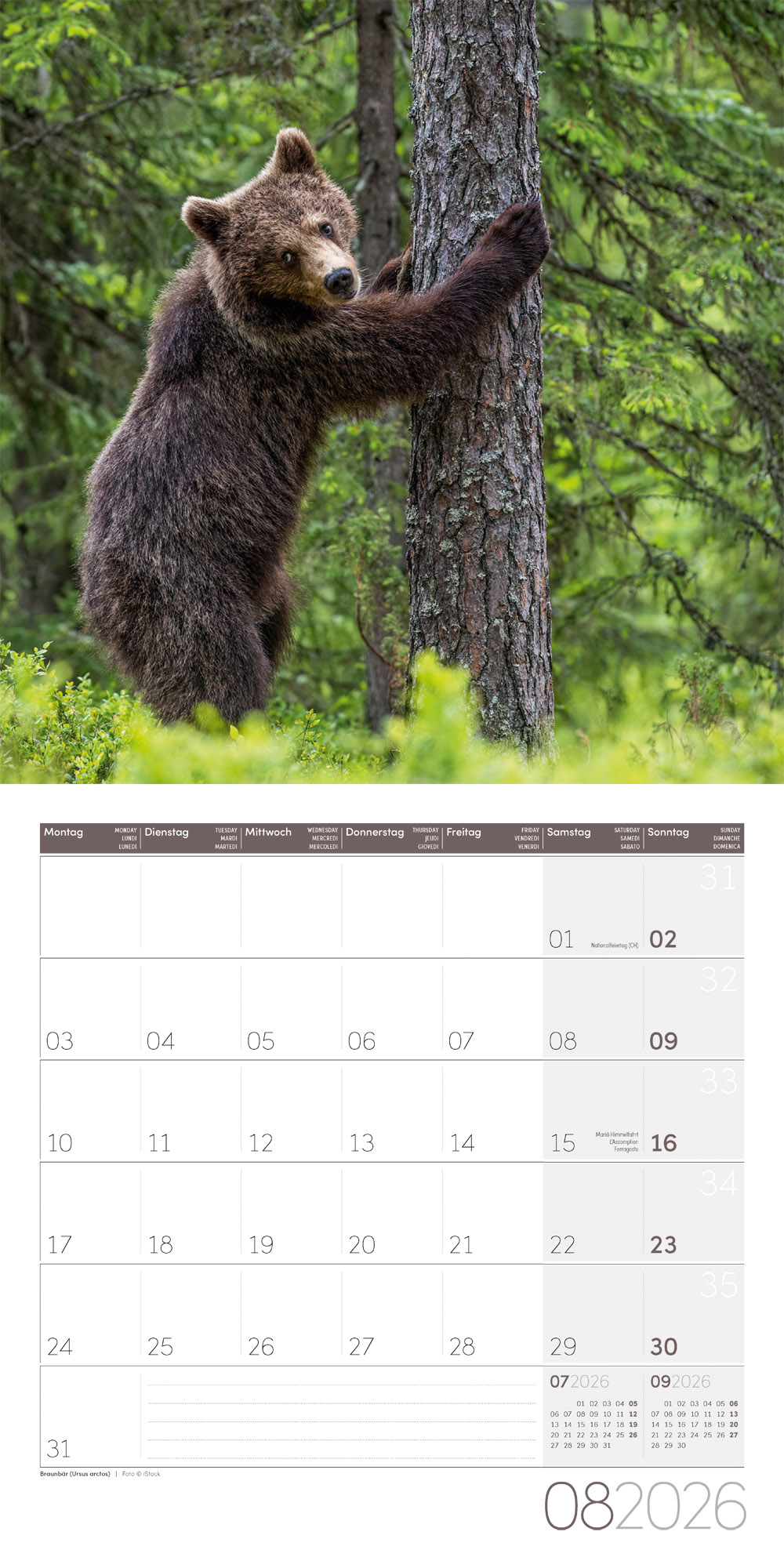 9783838446264_innenansicht_08 9783838446264_innenansicht_08.jpg