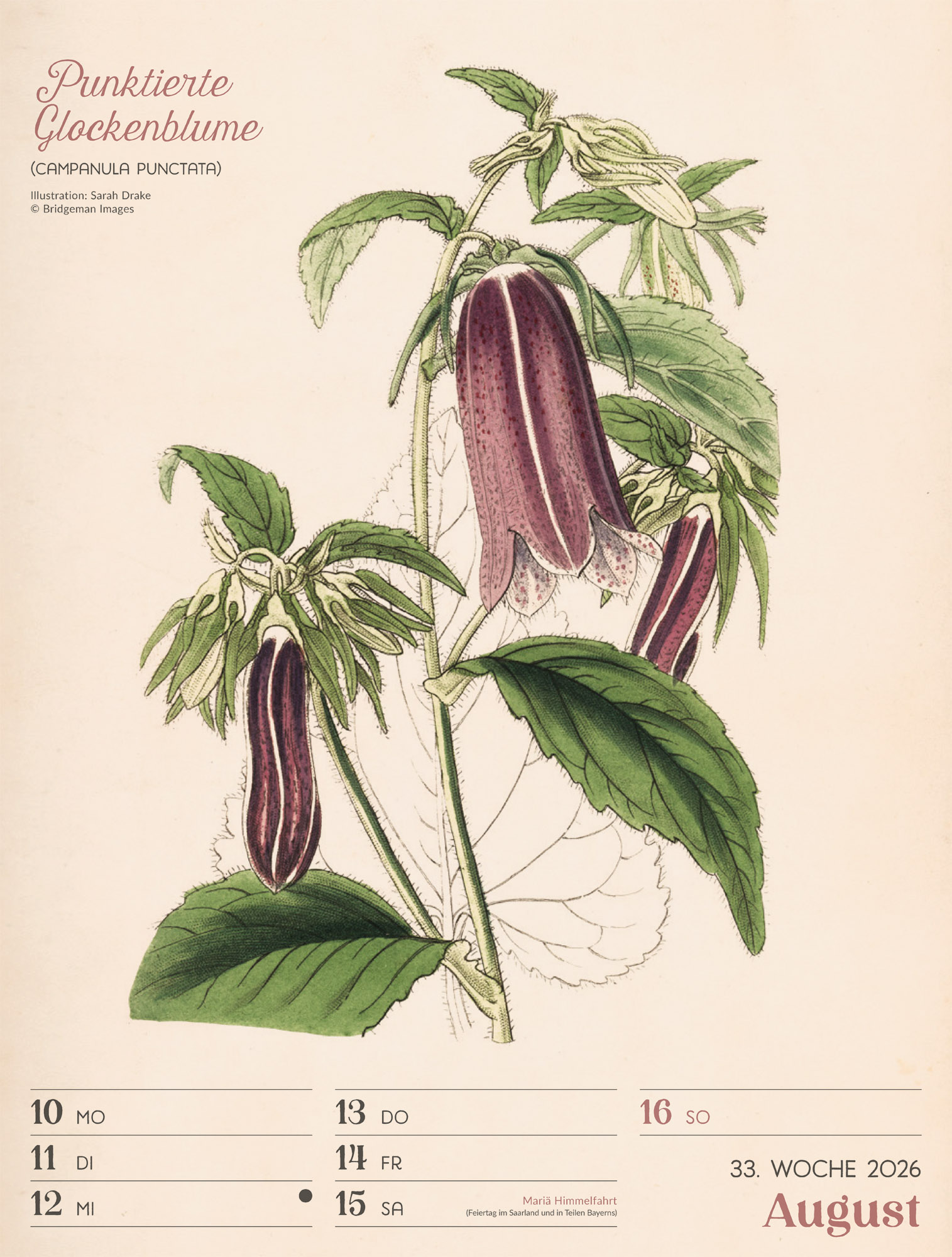 9783838436128_innenansicht_36 9783838436128_innenansicht_36.jpg