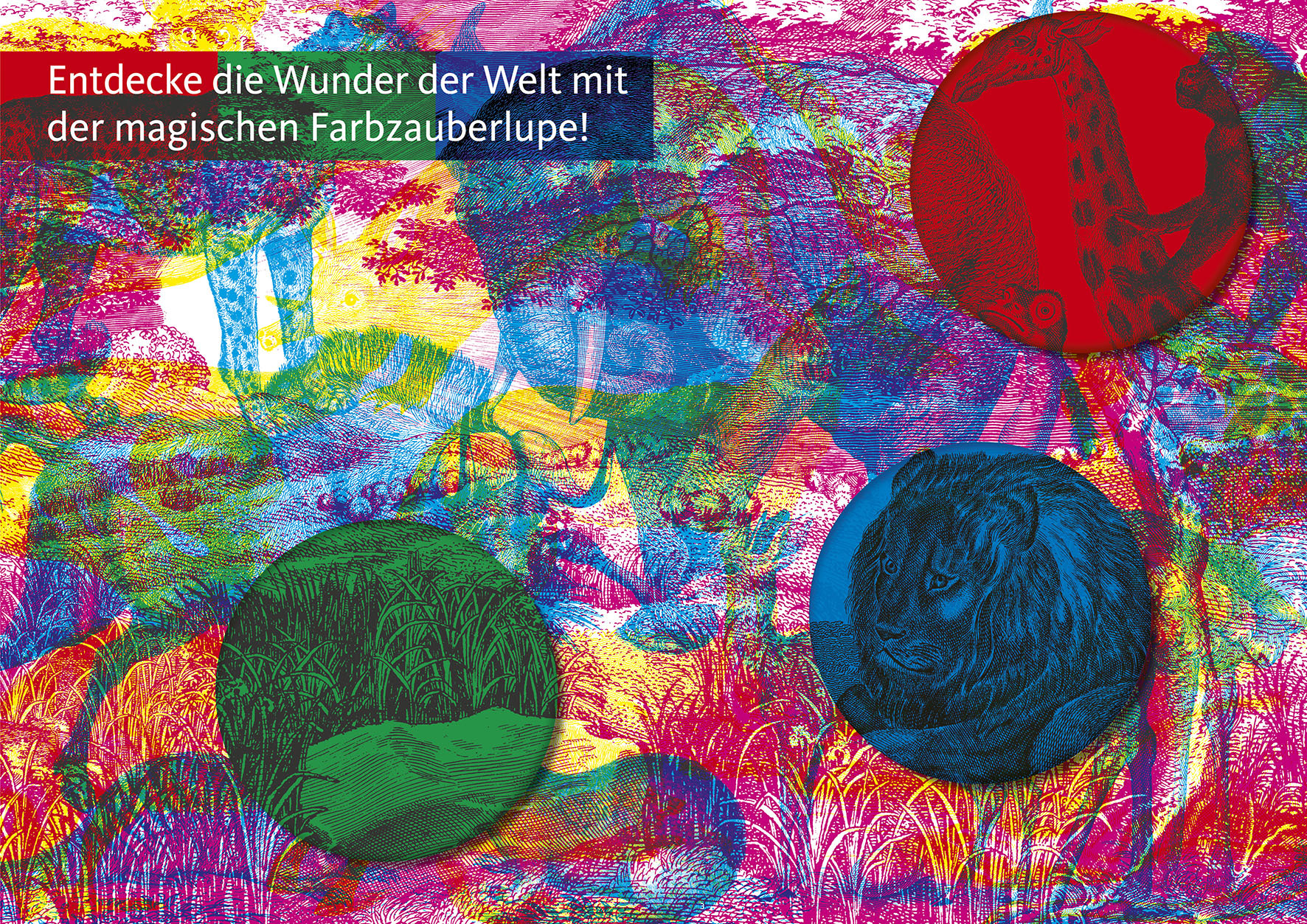 9783791372822_innenansicht_02.jpg