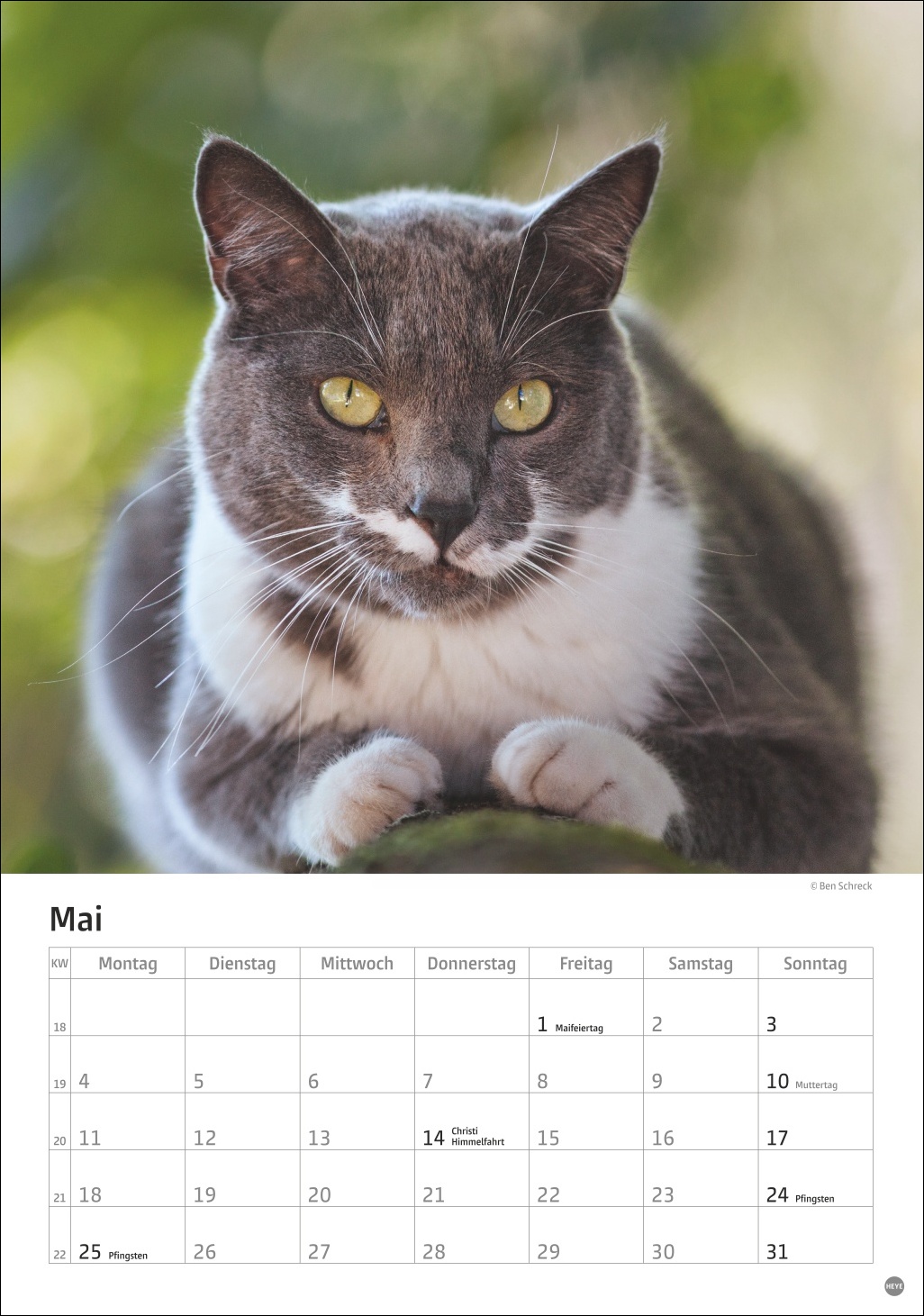 9783756411139_innenansicht_05 9783756411139_innenansicht_05.jpg