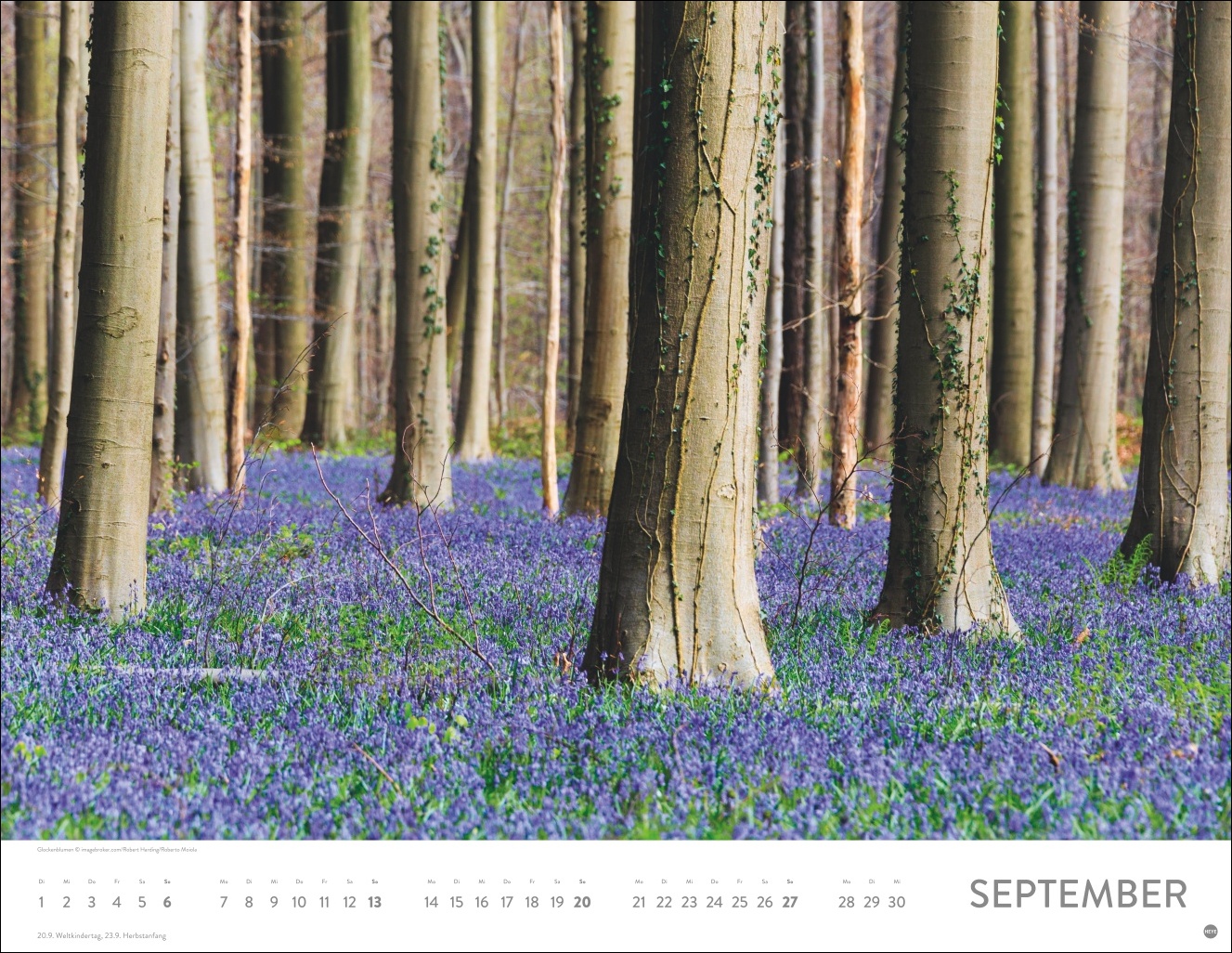 9783756414116_innenansicht_09 9783756414116_innenansicht_09.jpg