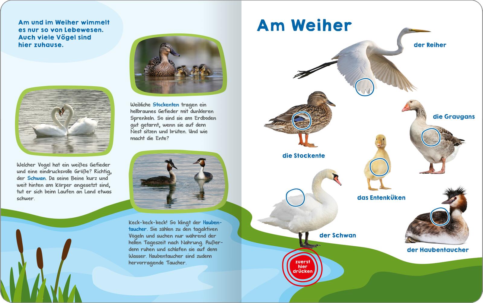 9783845855325_innenansicht_02 9783845855325_innenansicht_02.jpg