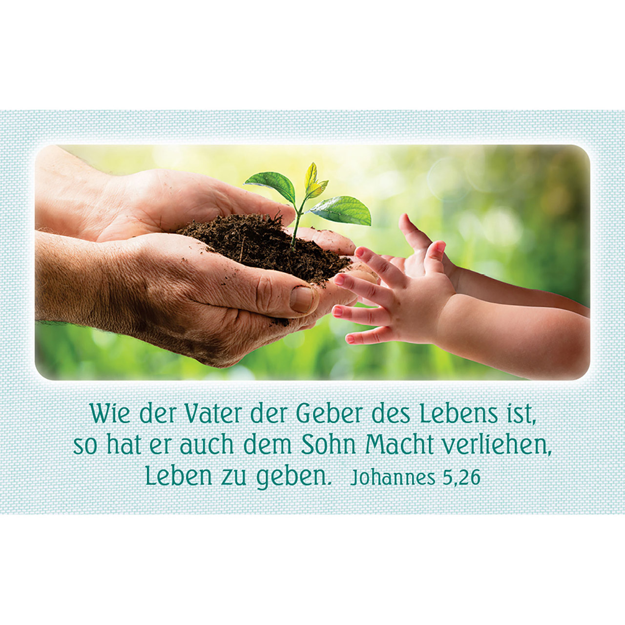 4034905014912_innenansicht_02.jpg