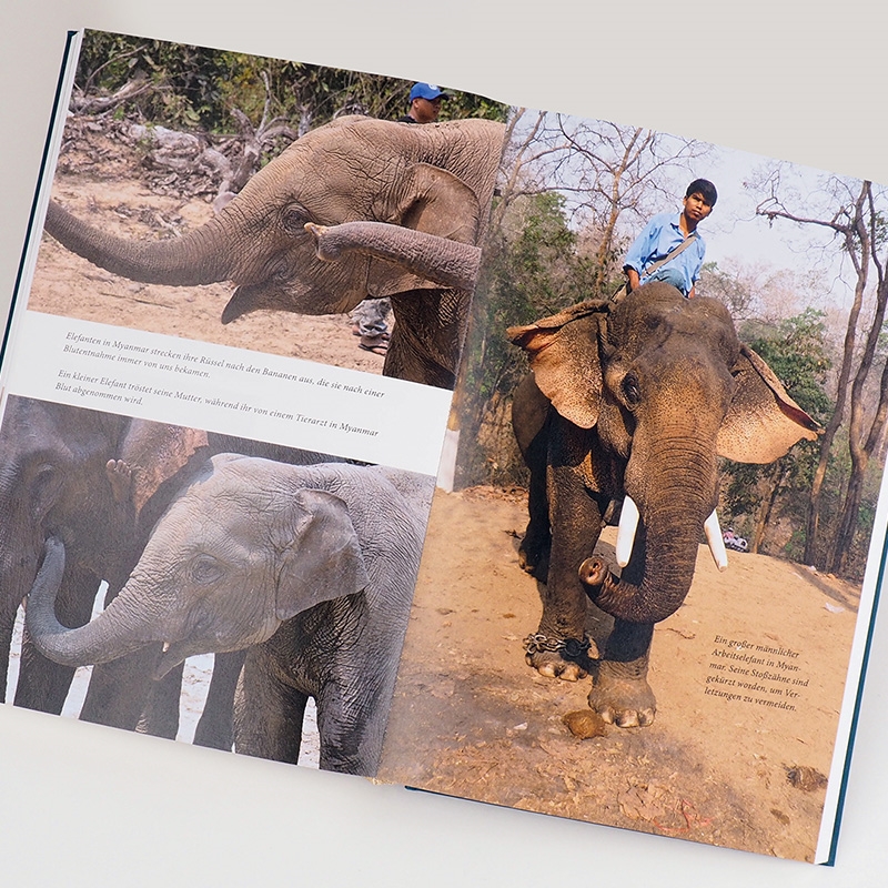 9783446269316_innenansicht_03.jpg 9783446269316_innenansicht_03.jpg