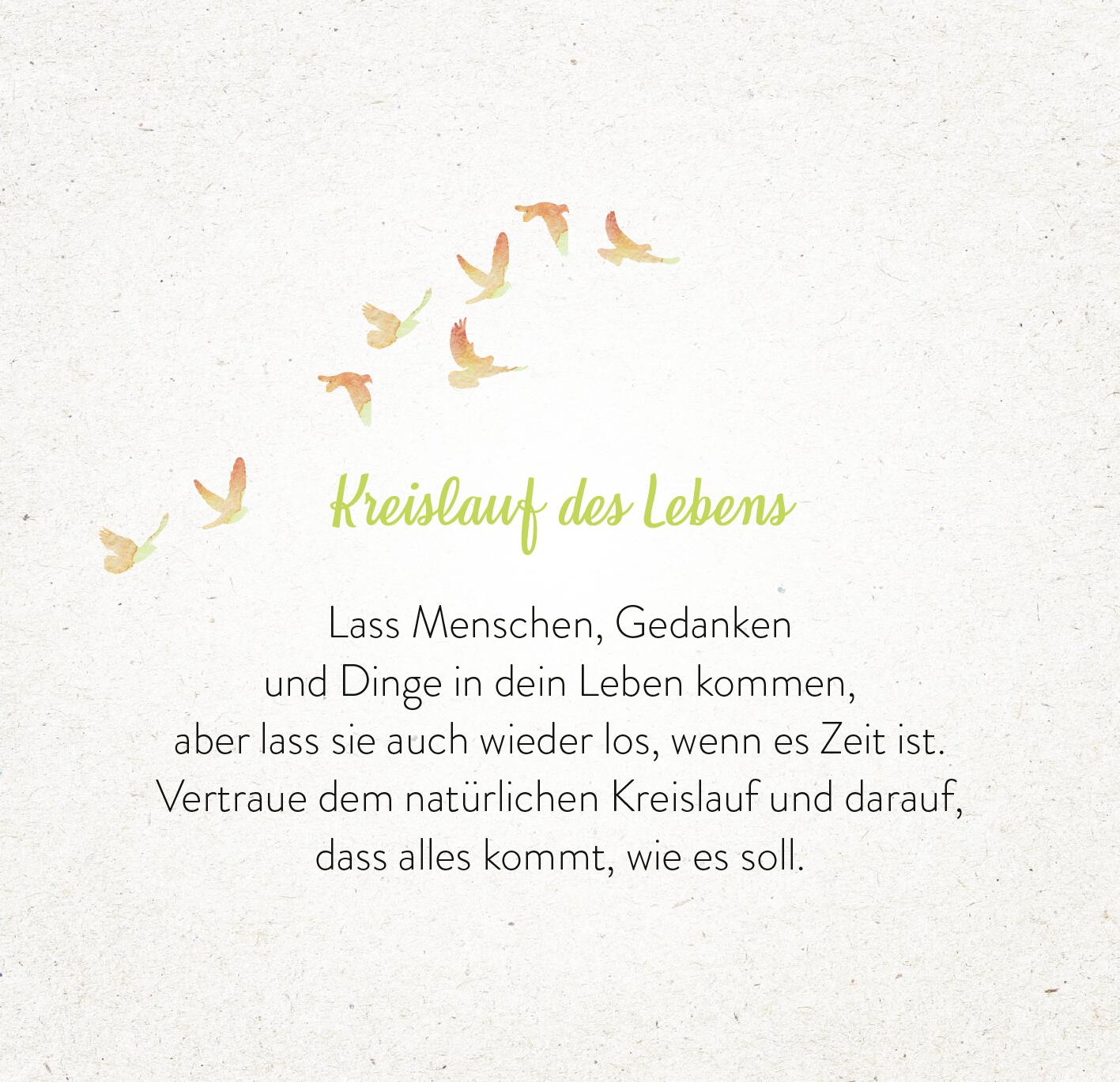 9783845862613_innenansicht_04.jpg