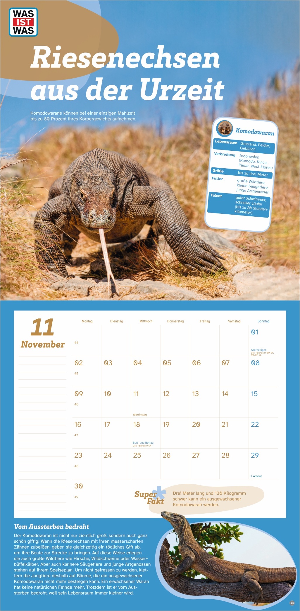 9783756409051_innenansicht_11.jpg