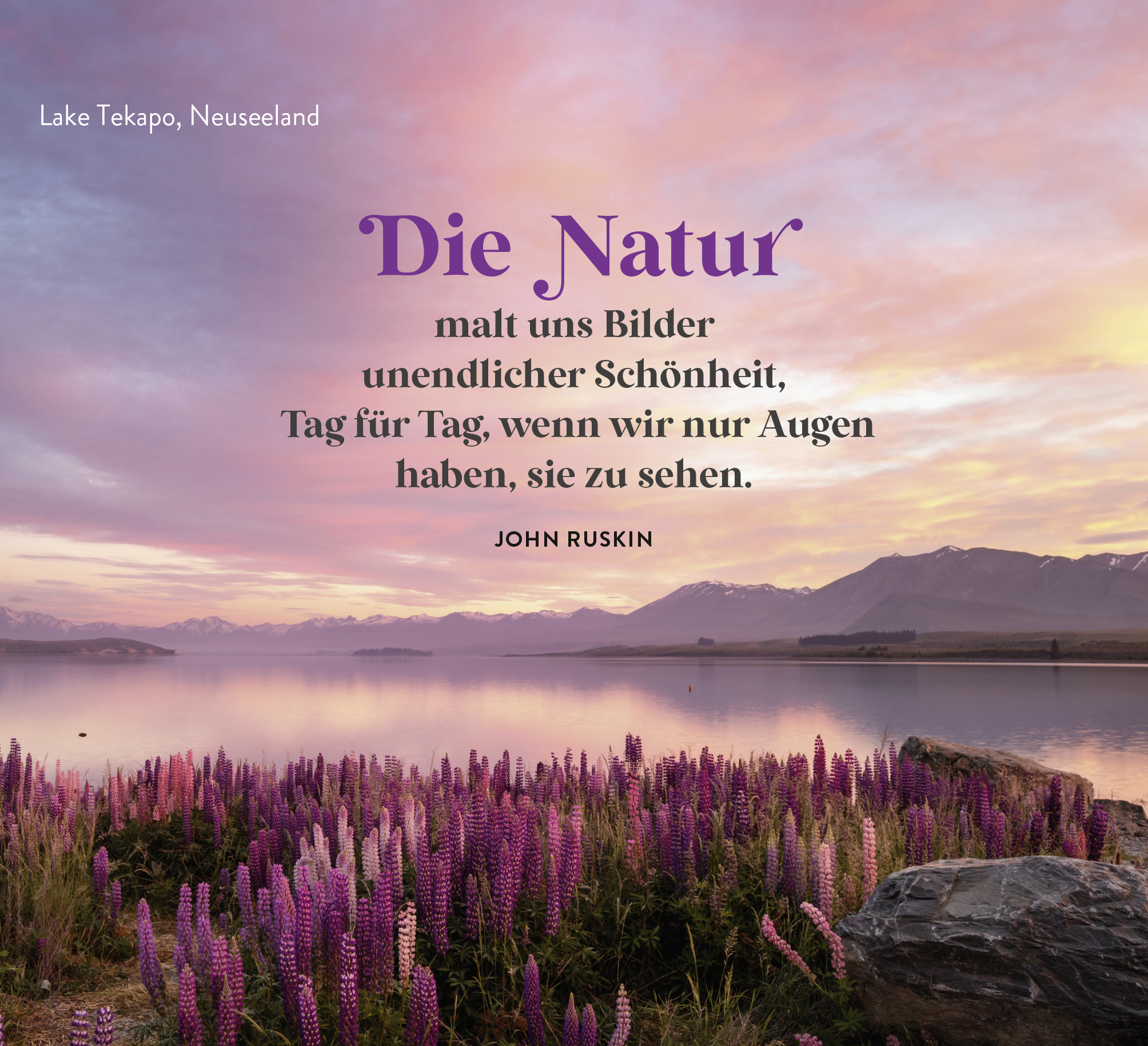 9783848501991_innenansicht_01.jpg