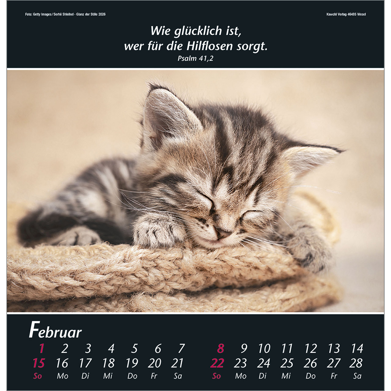 9783754820063_innenansicht_02.jpg