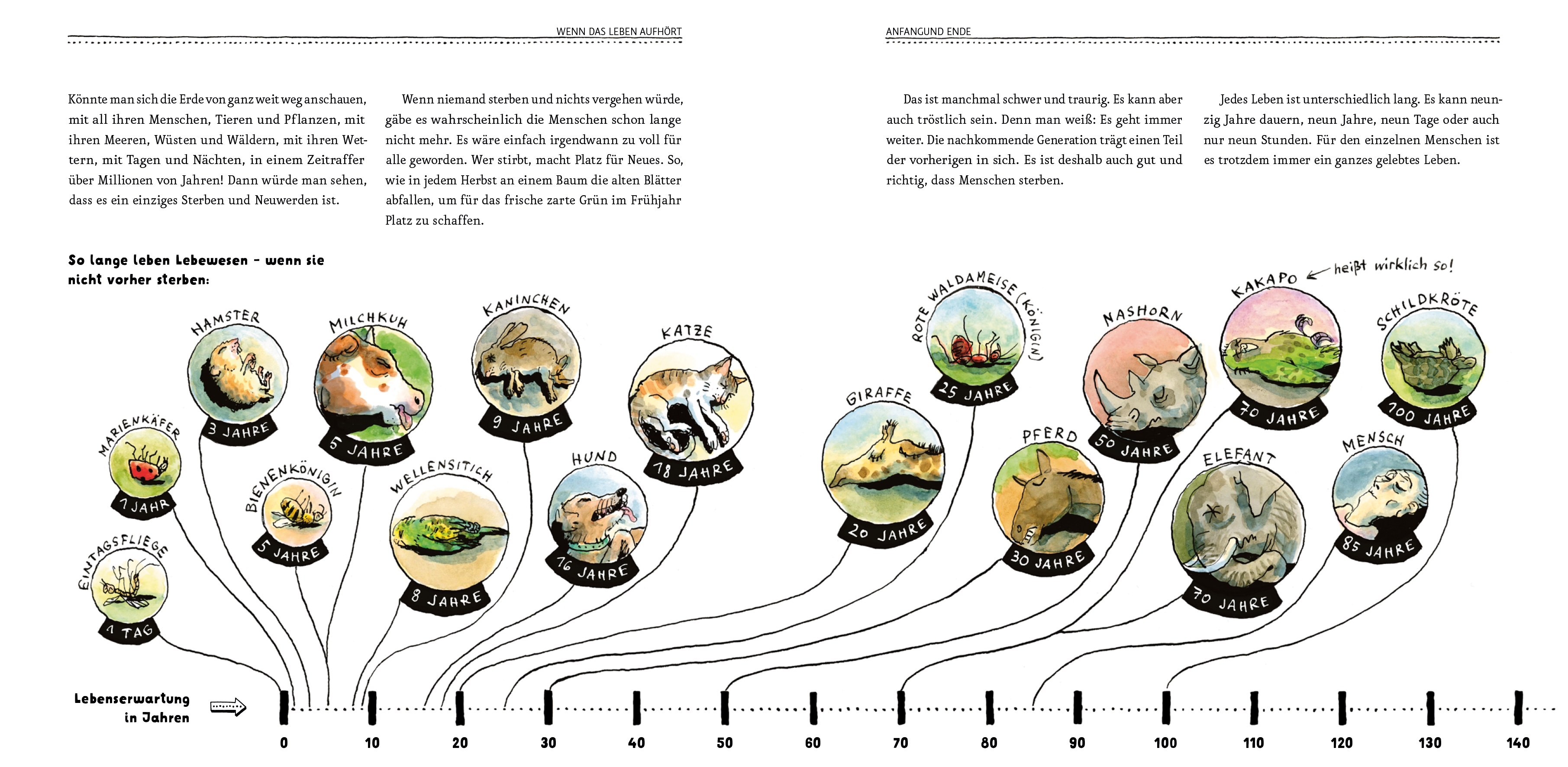9783954702855_innenansicht_03 9783954702855_innenansicht_03.jpg