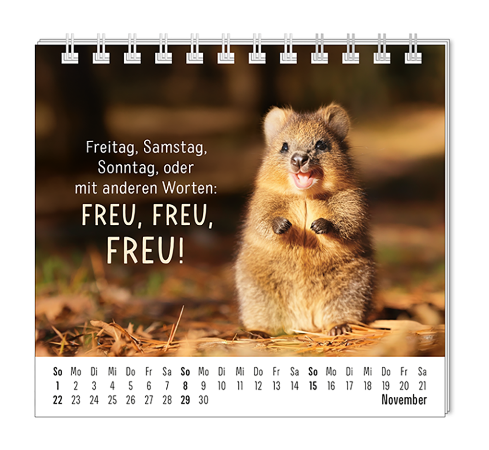 9783986361938_innenansicht_11.png