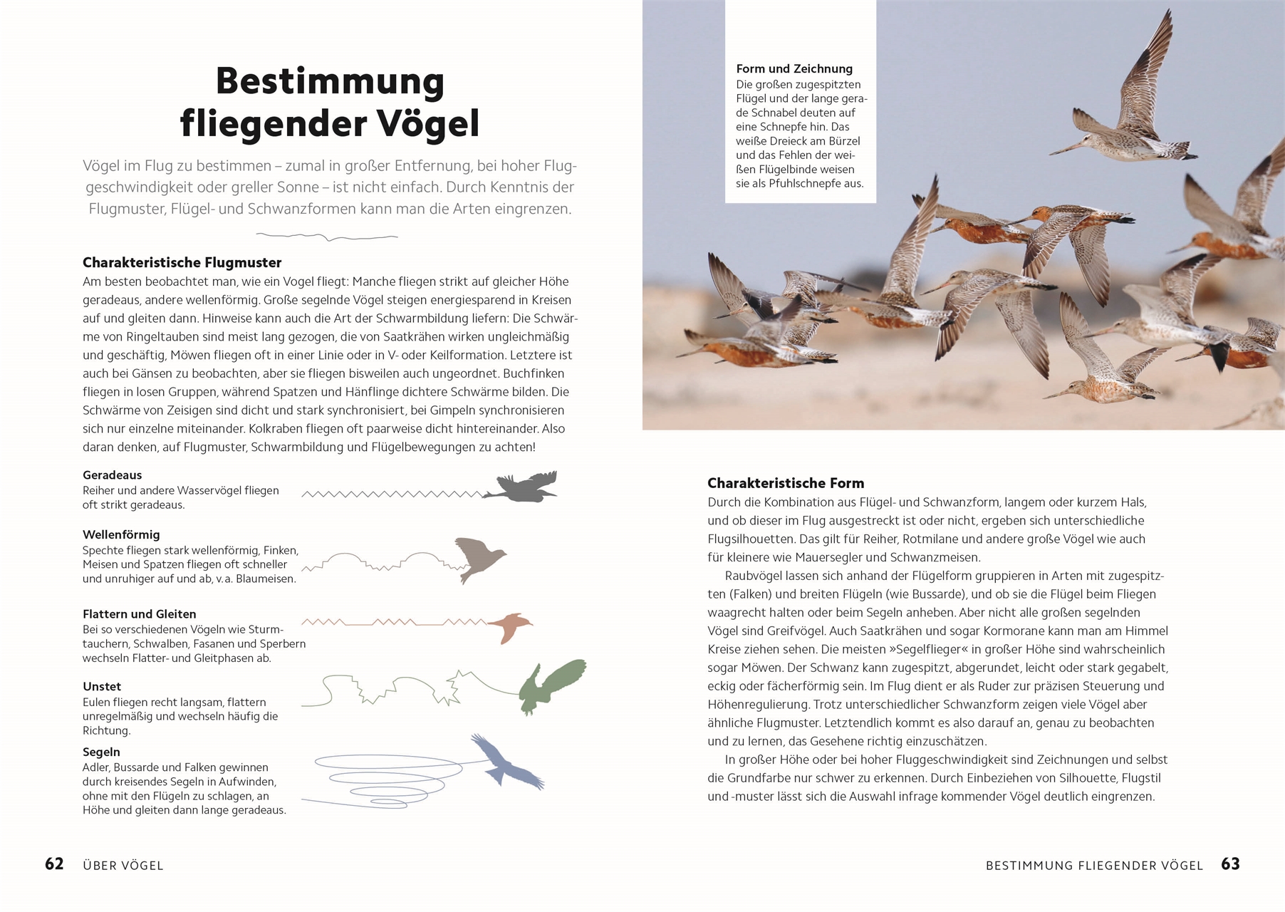 9783831049943_innenansicht_08 9783831049943_innenansicht_08.jpg