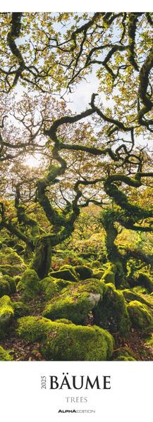 4251732342234 4251732342234