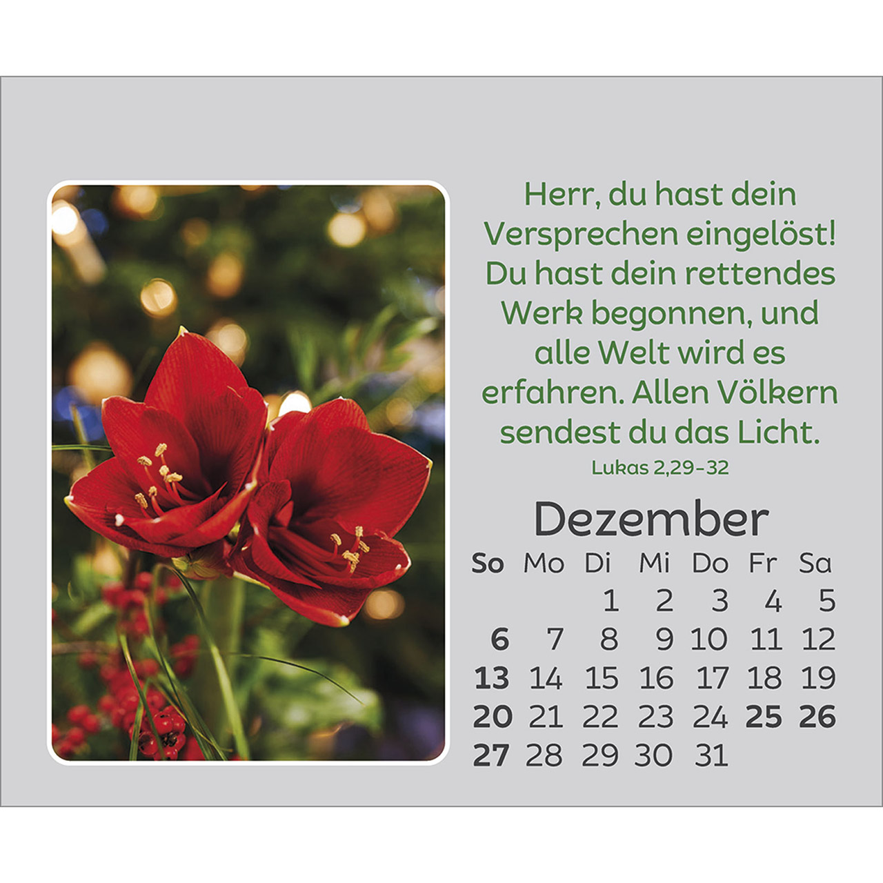 9783754861066_innenansicht_12.jpg