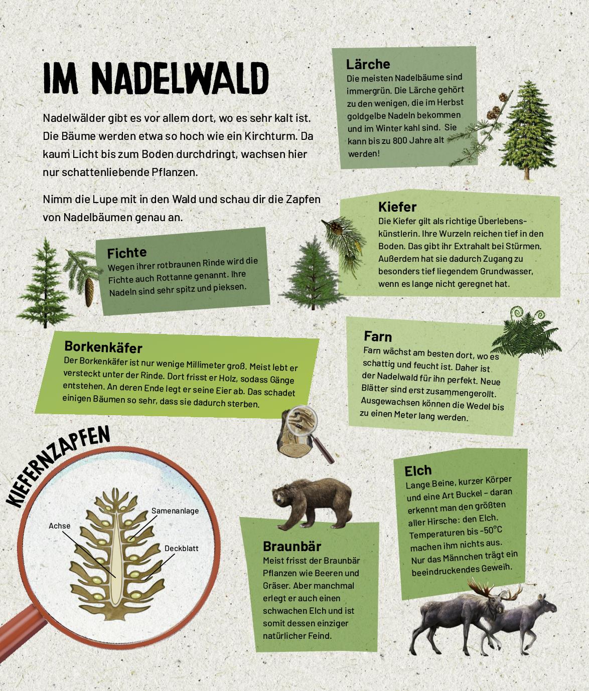 9783849945671_innenansicht_05 9783849945671_innenansicht_05.jpg