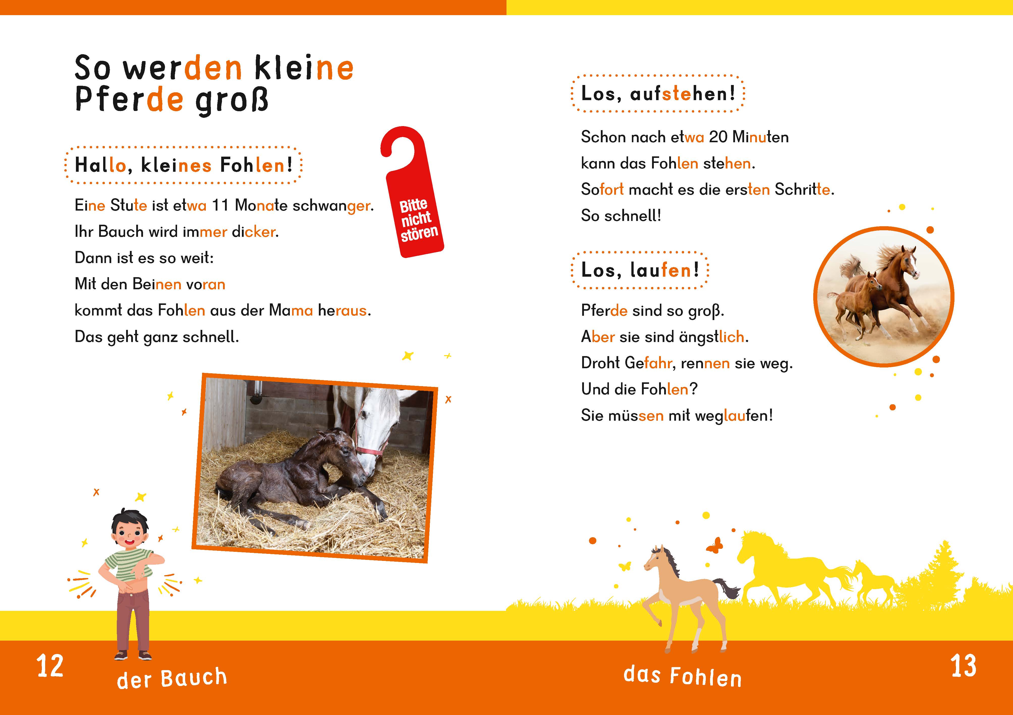 9783411733064_innenansicht_01.jpg