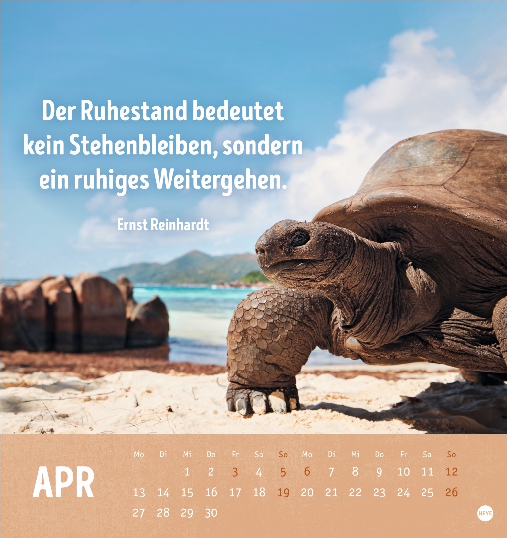9783756413522_innenansicht_04.jpg