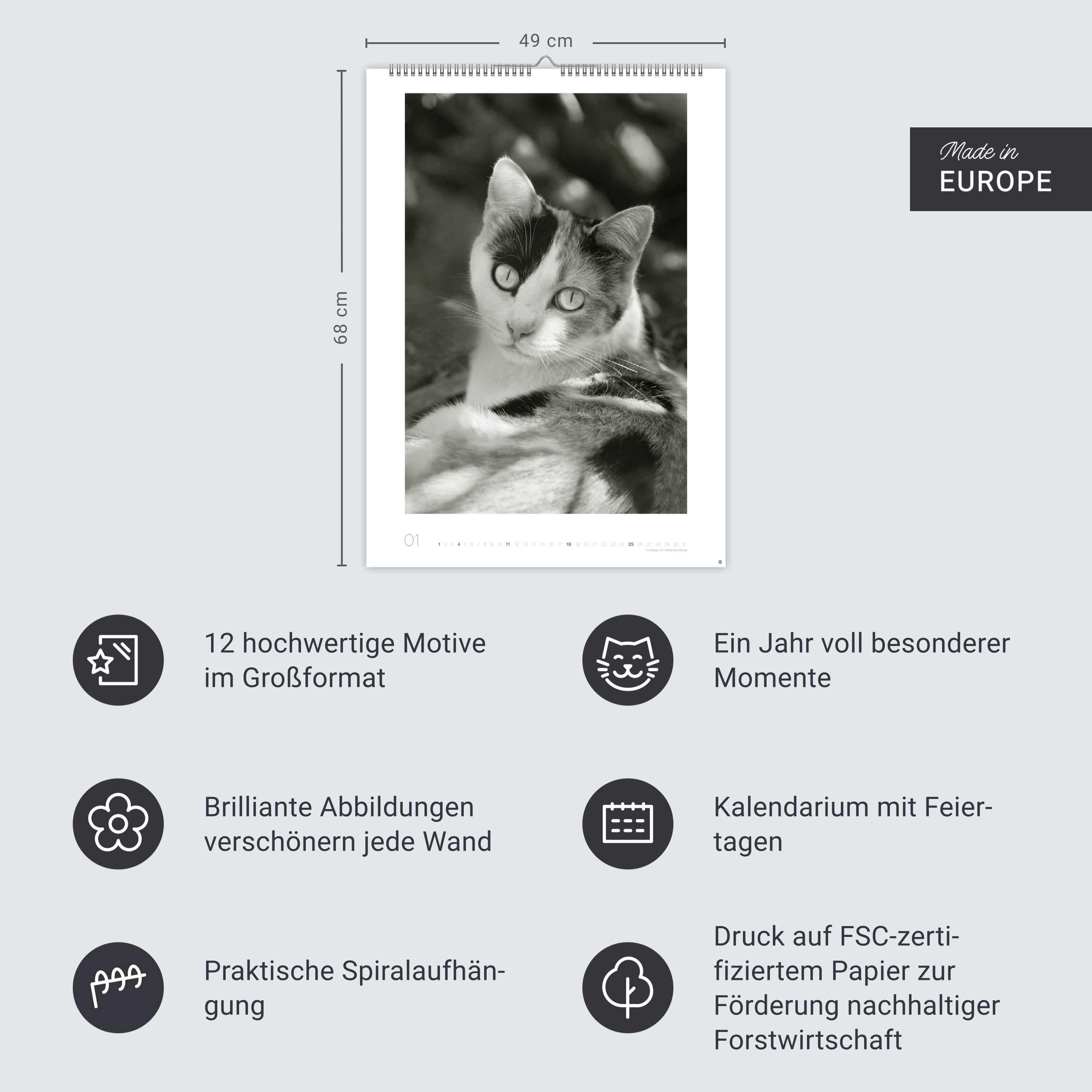 9783756411313_innenansicht_13 9783756411313_innenansicht_13.jpg