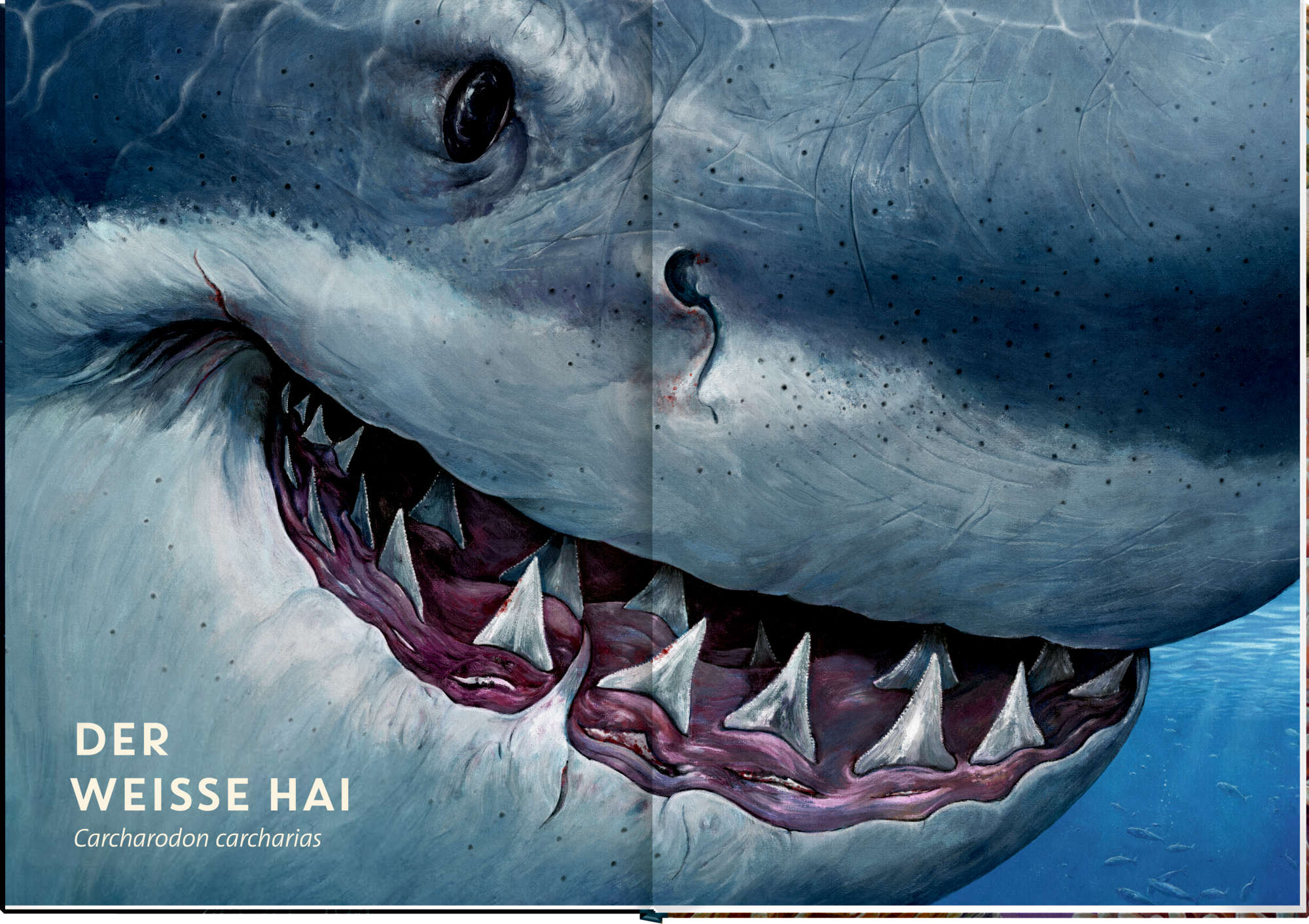 9783649640936_innenansicht_04 9783649640936_innenansicht_04.jpg