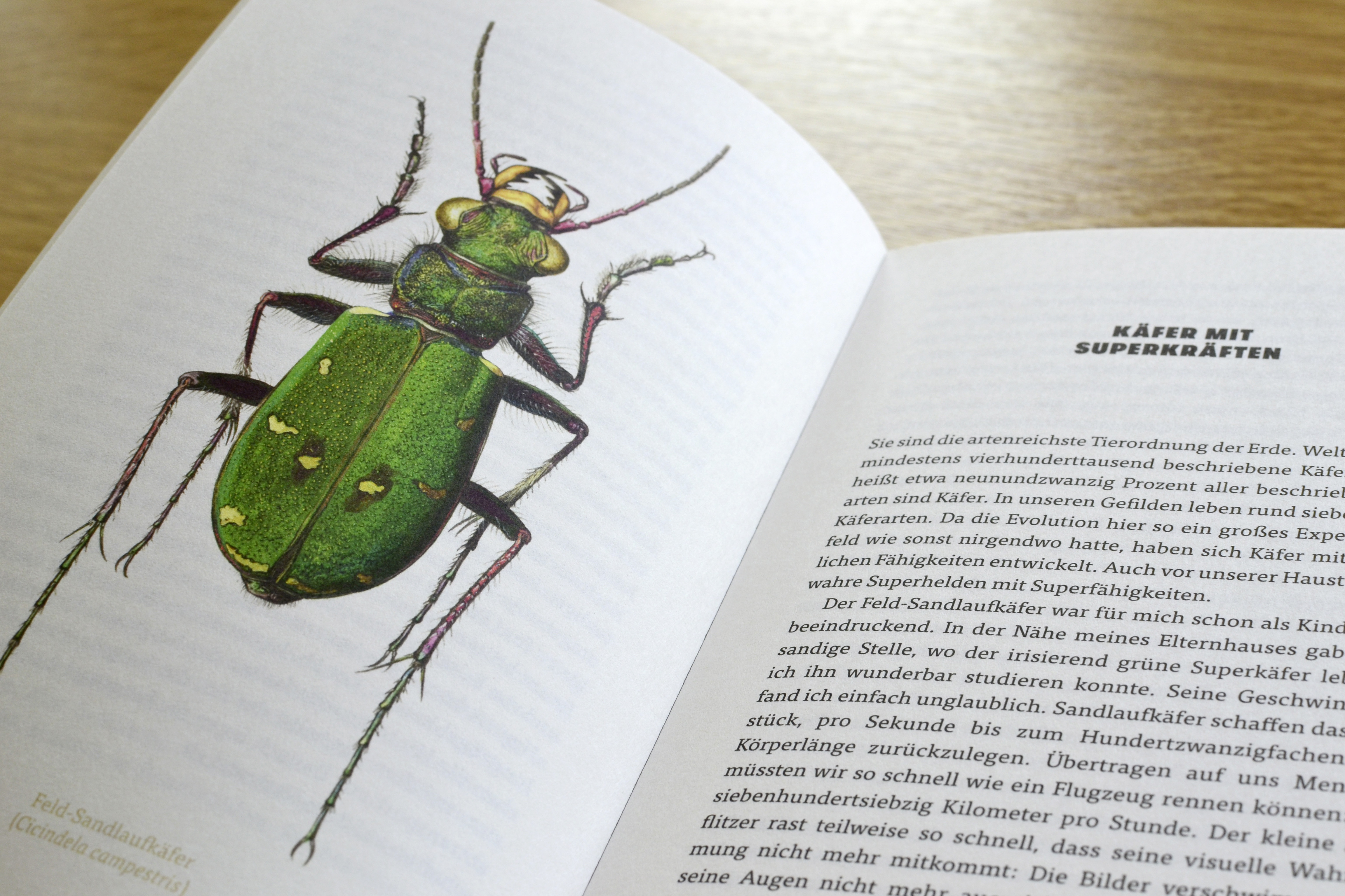 9783847900658_innenansicht_09.jpg 9783847900658_innenansicht_09.jpg