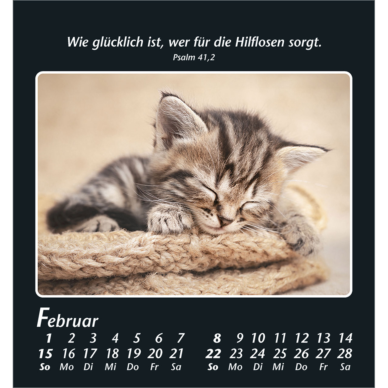9783754880067_innenansicht_02.jpg