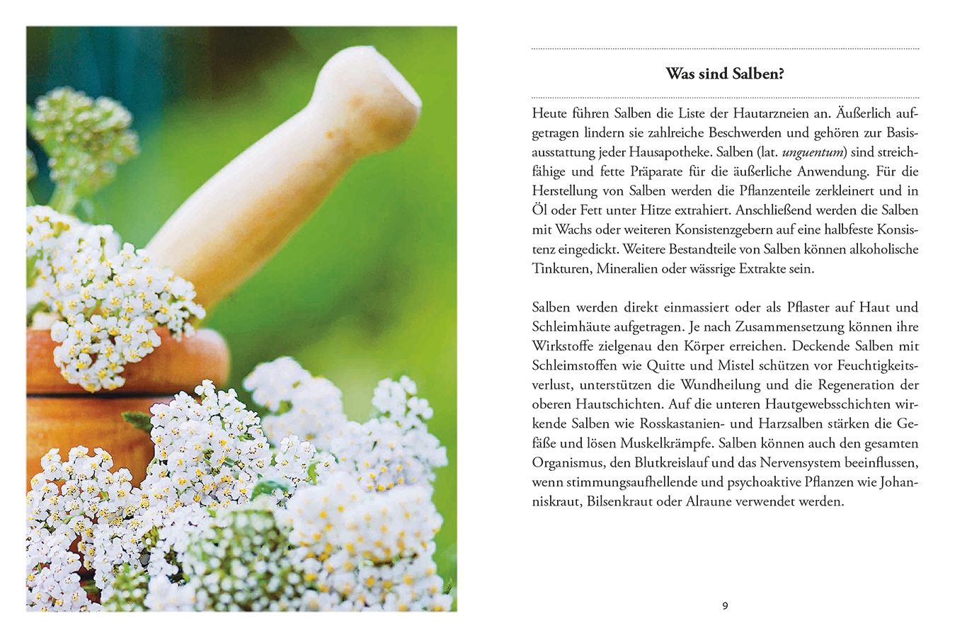 9783710401770_innenansicht_01.jpg