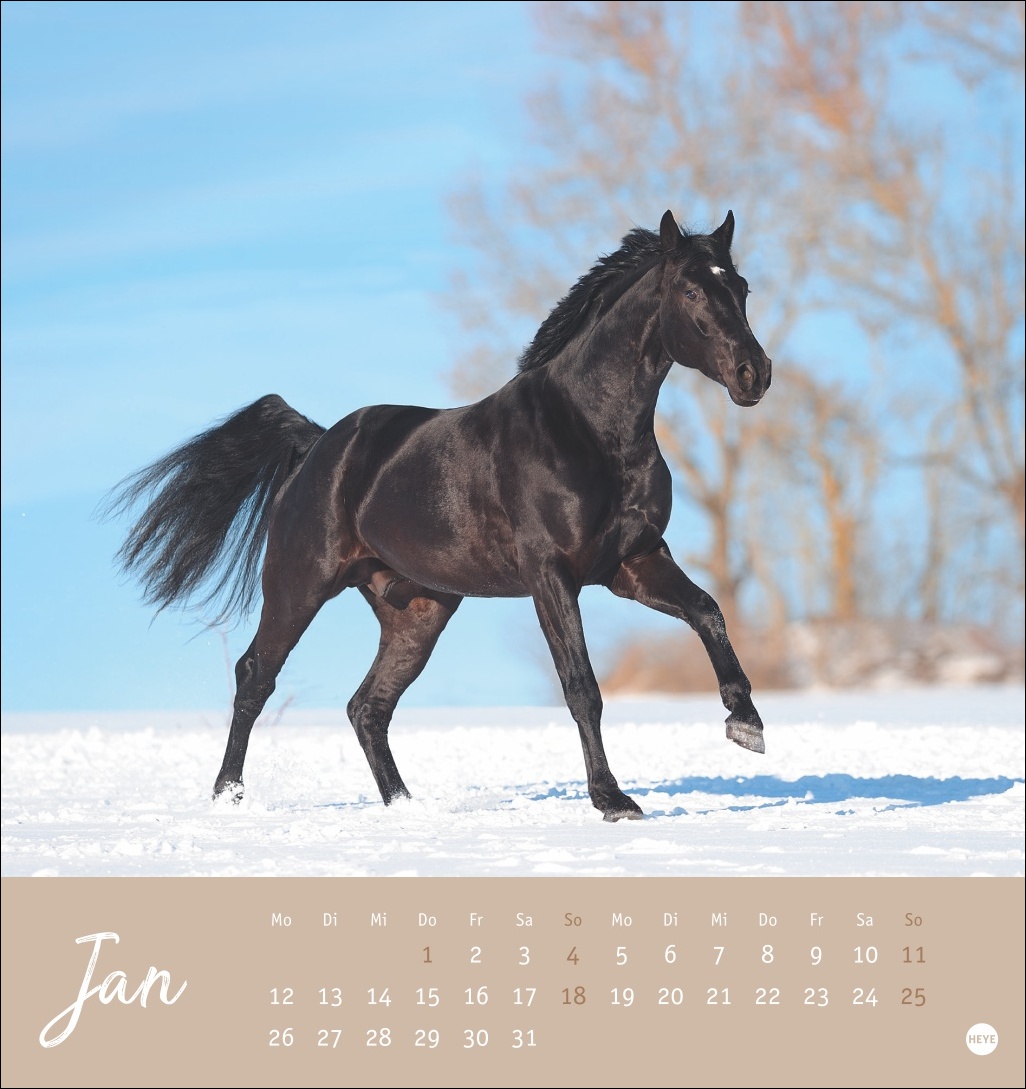 9783756410477_innenansicht_01 9783756410477_innenansicht_01.jpg