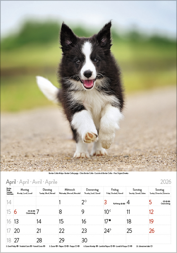 9783731883616_innenansicht_04 9783731883616_innenansicht_04.jpg