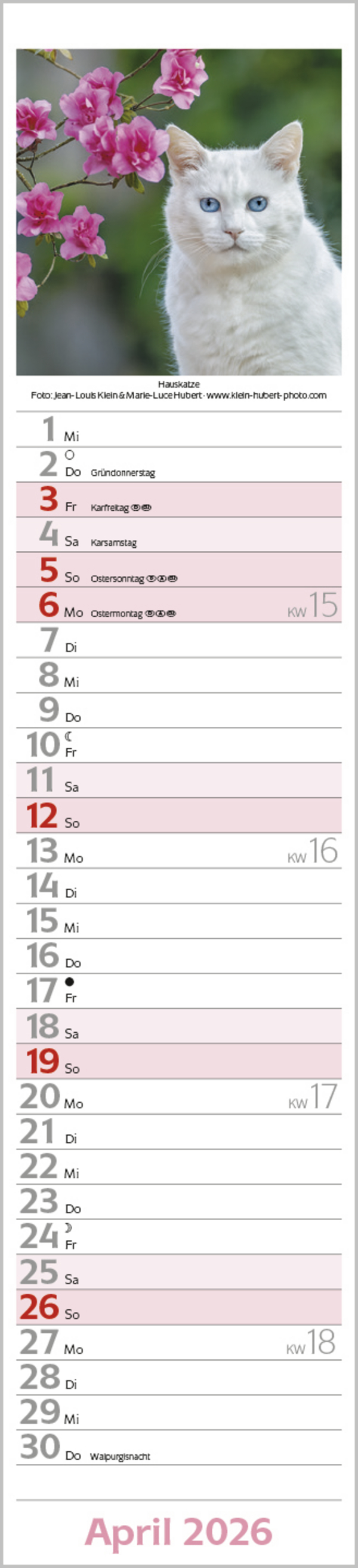 9783731886891_innenansicht_04 9783731886891_innenansicht_04.jpg