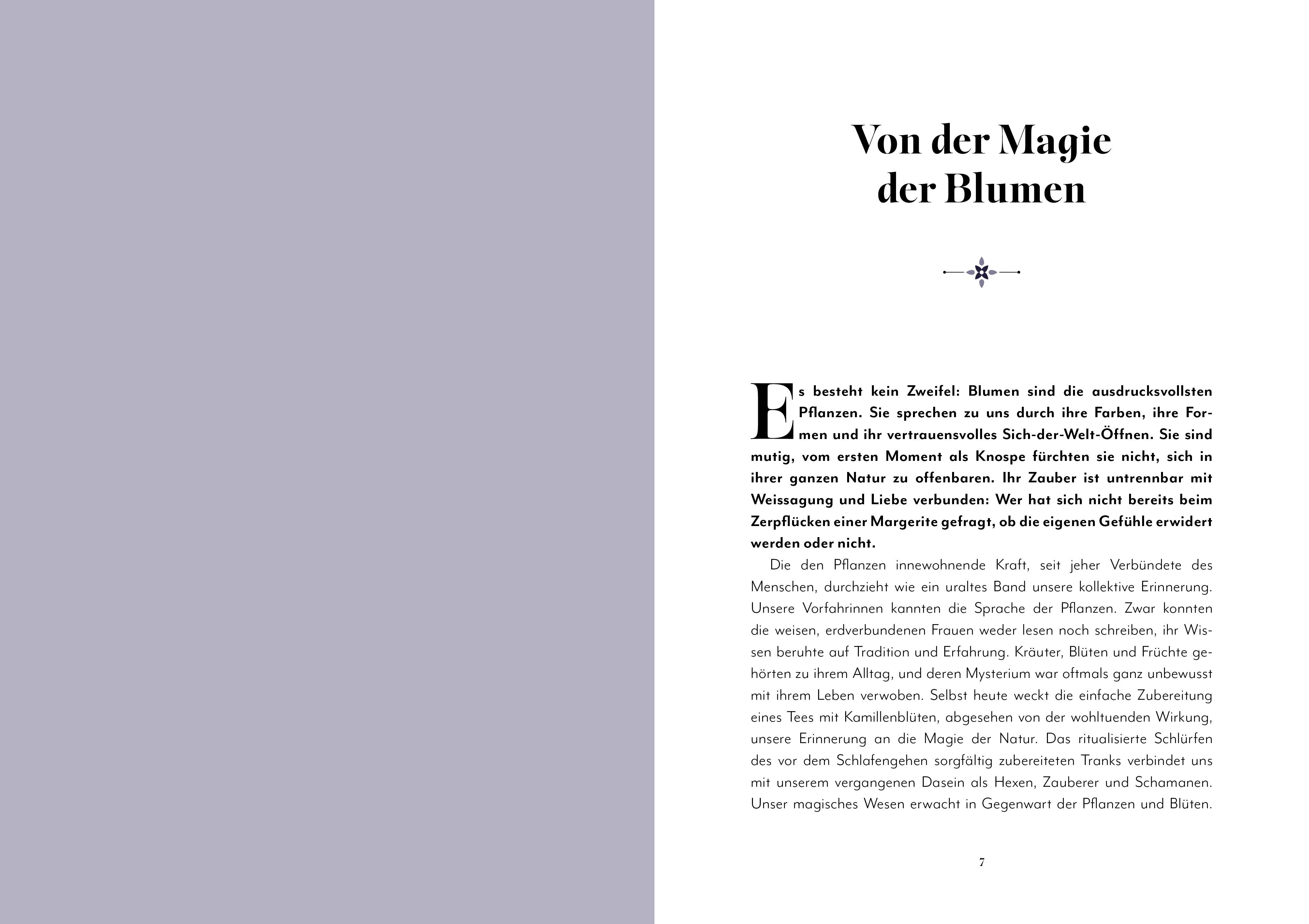 9788863127027_innenansicht_02.jpg