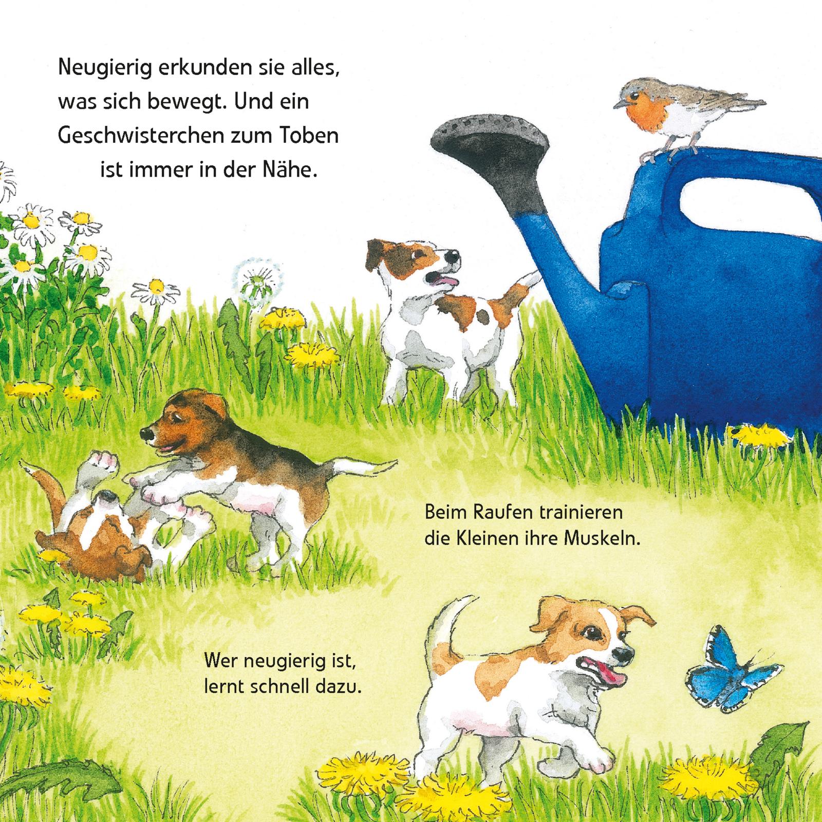 9783551033819_innenansicht_02 9783551033819_innenansicht_02.jpg