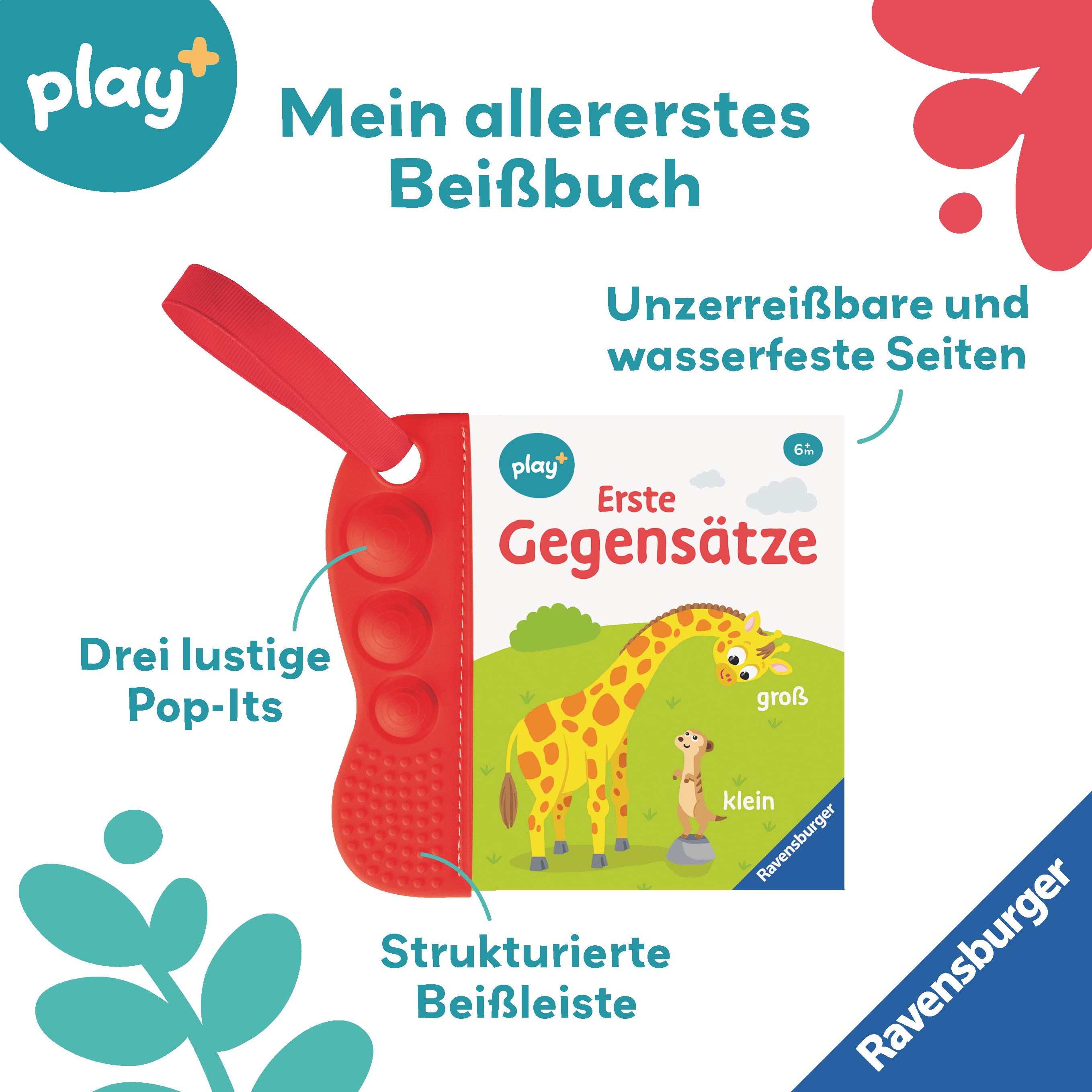9783473456338_innenansicht_01.jpg