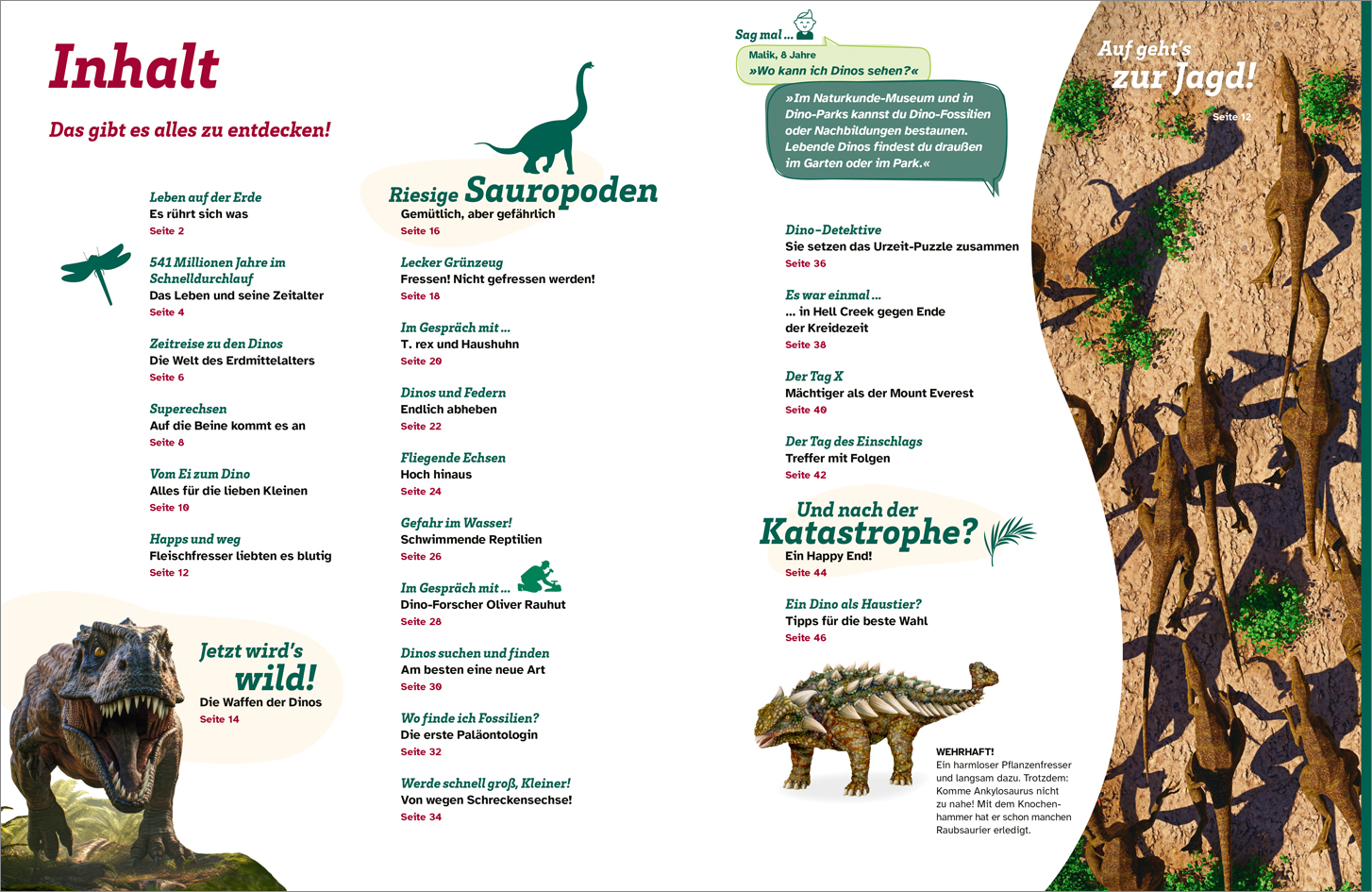 9783788677107_innenansicht_01.jpg