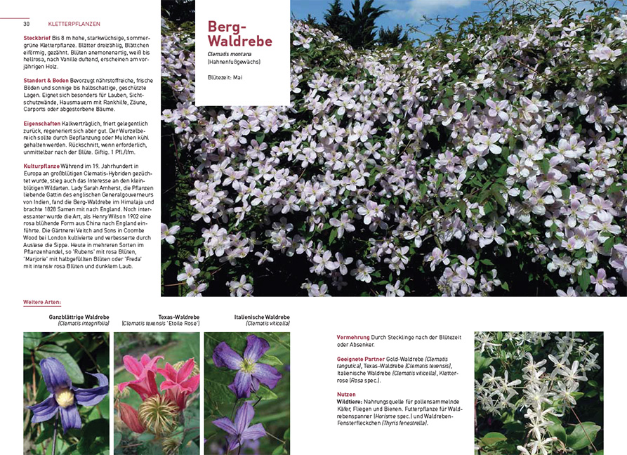 9783258083513_innenansicht_01 9783258083513_innenansicht_01.jpg