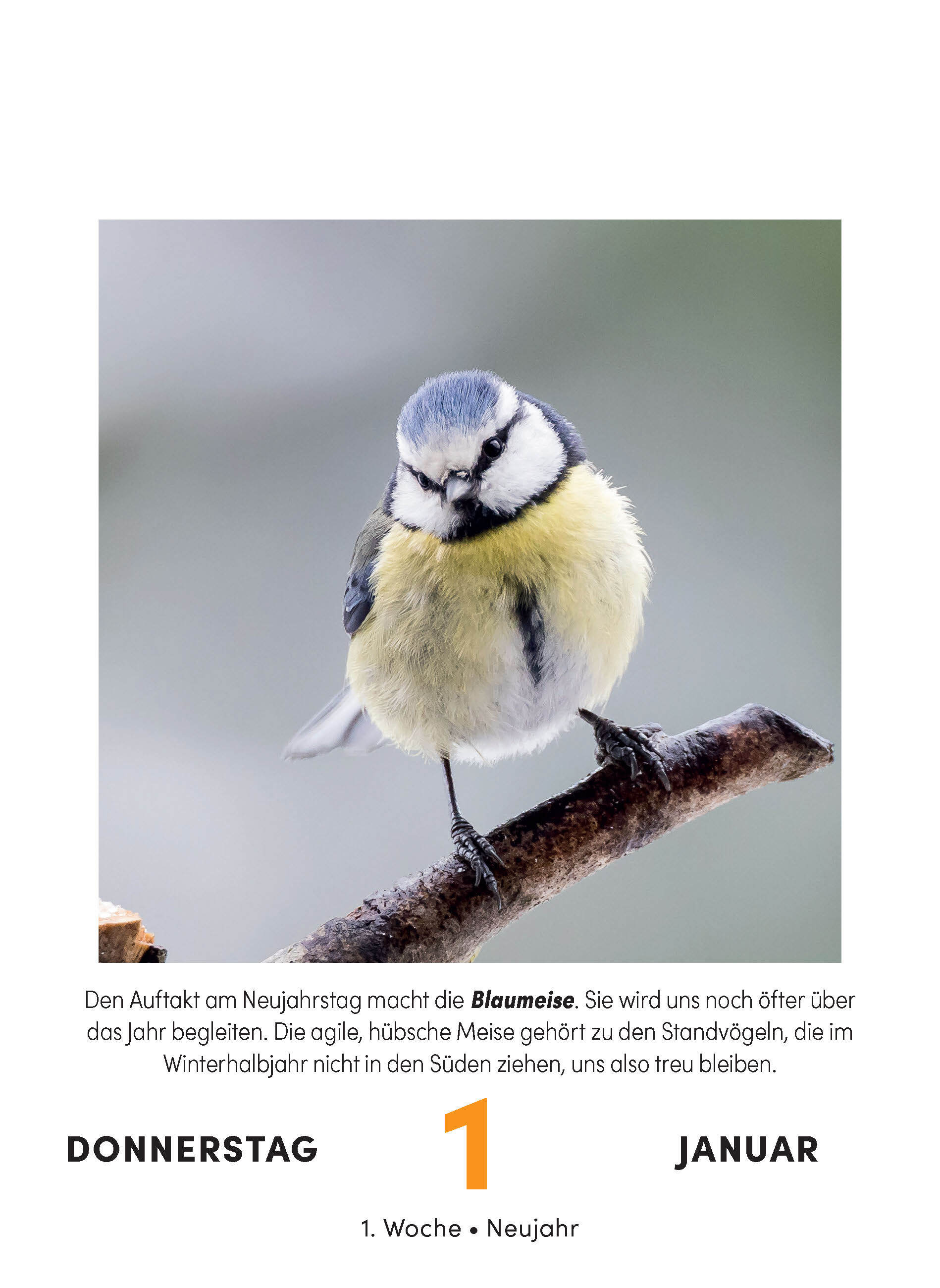 9783517103631_innenansicht_01 9783517103631_innenansicht_01.jpg