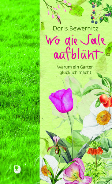 9783869176031 9783869176031