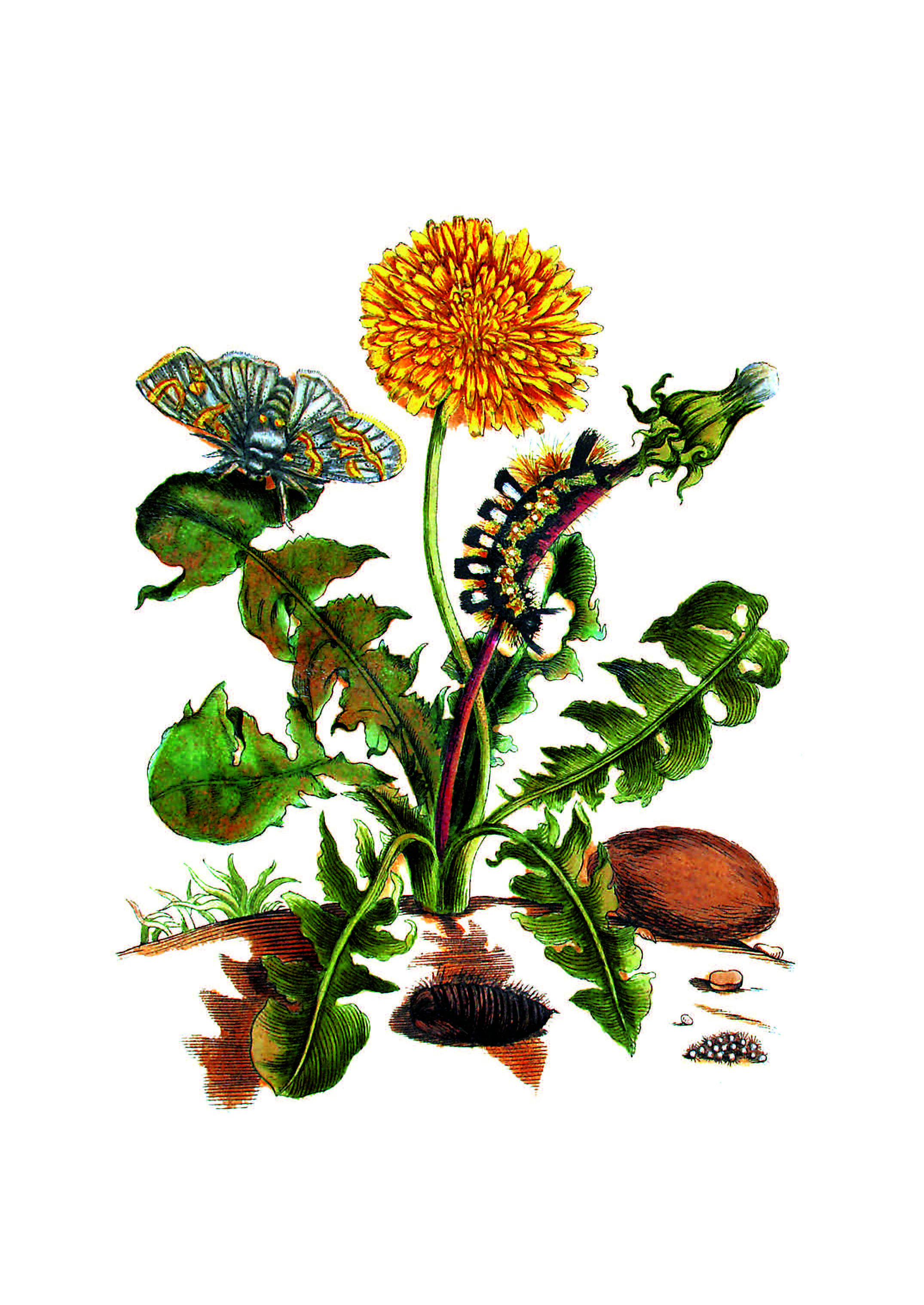 9783968492049_innenansicht_05 9783968492049_innenansicht_05.jpg