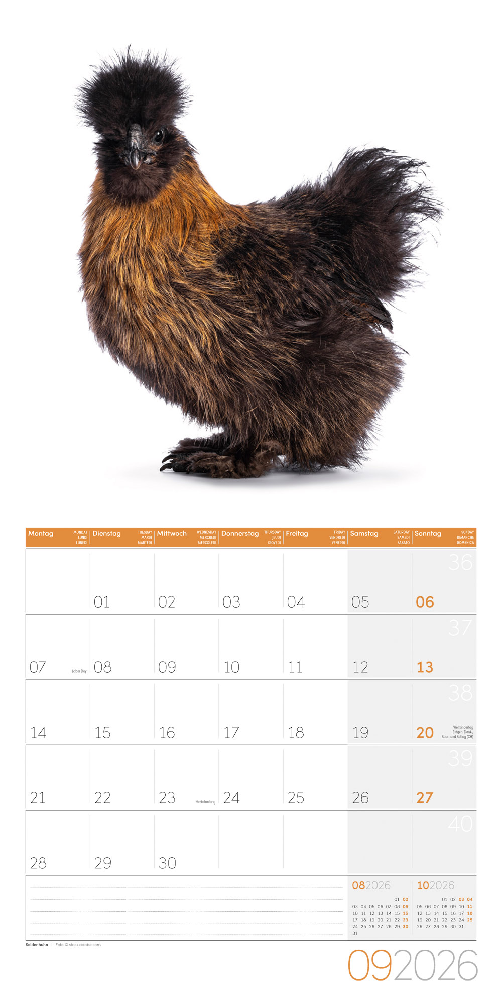 9783838446196_innenansicht_09 9783838446196_innenansicht_09.jpg