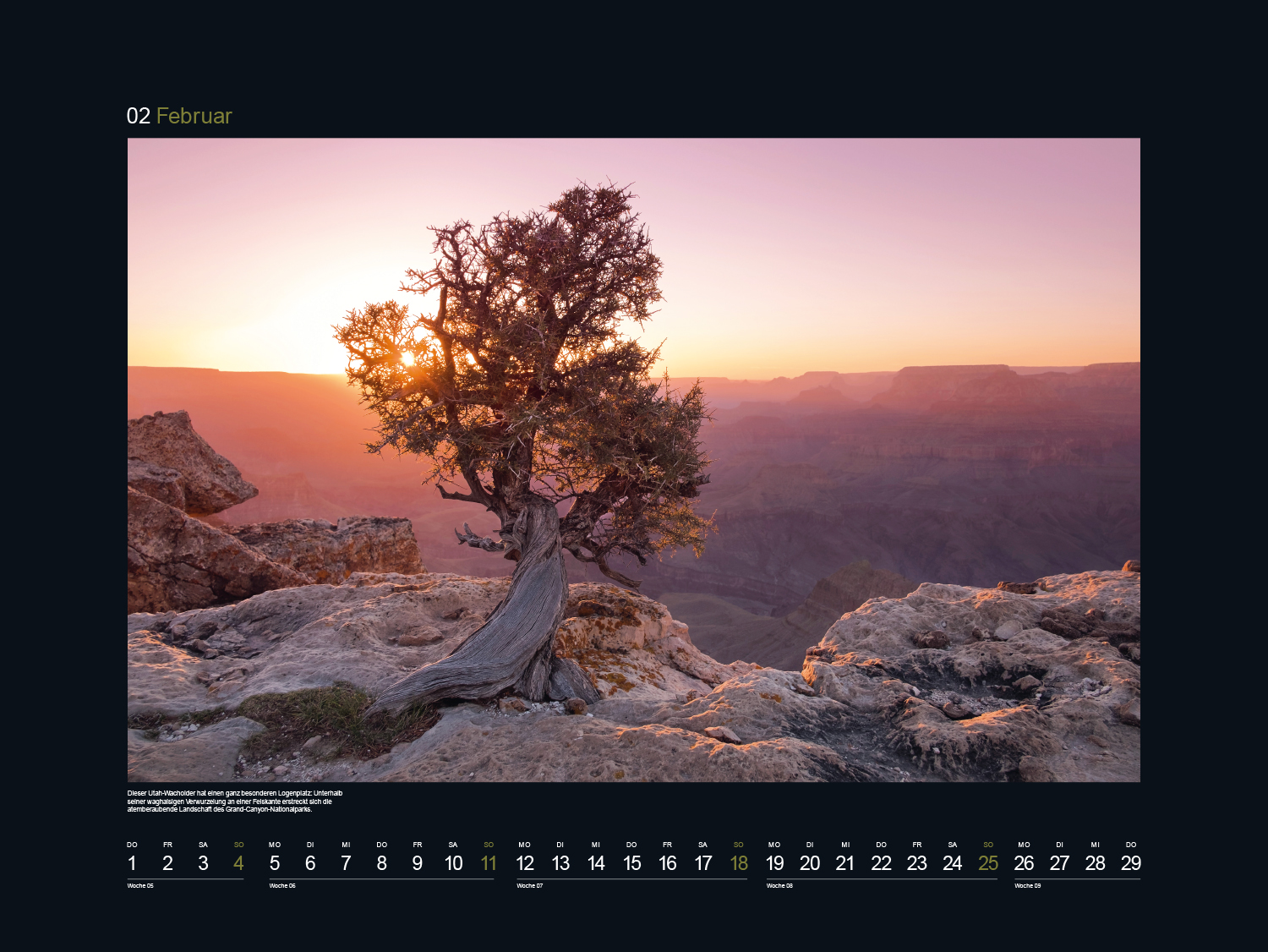 9783965912496_innenansicht_03 9783965912496_innenansicht_03.jpg