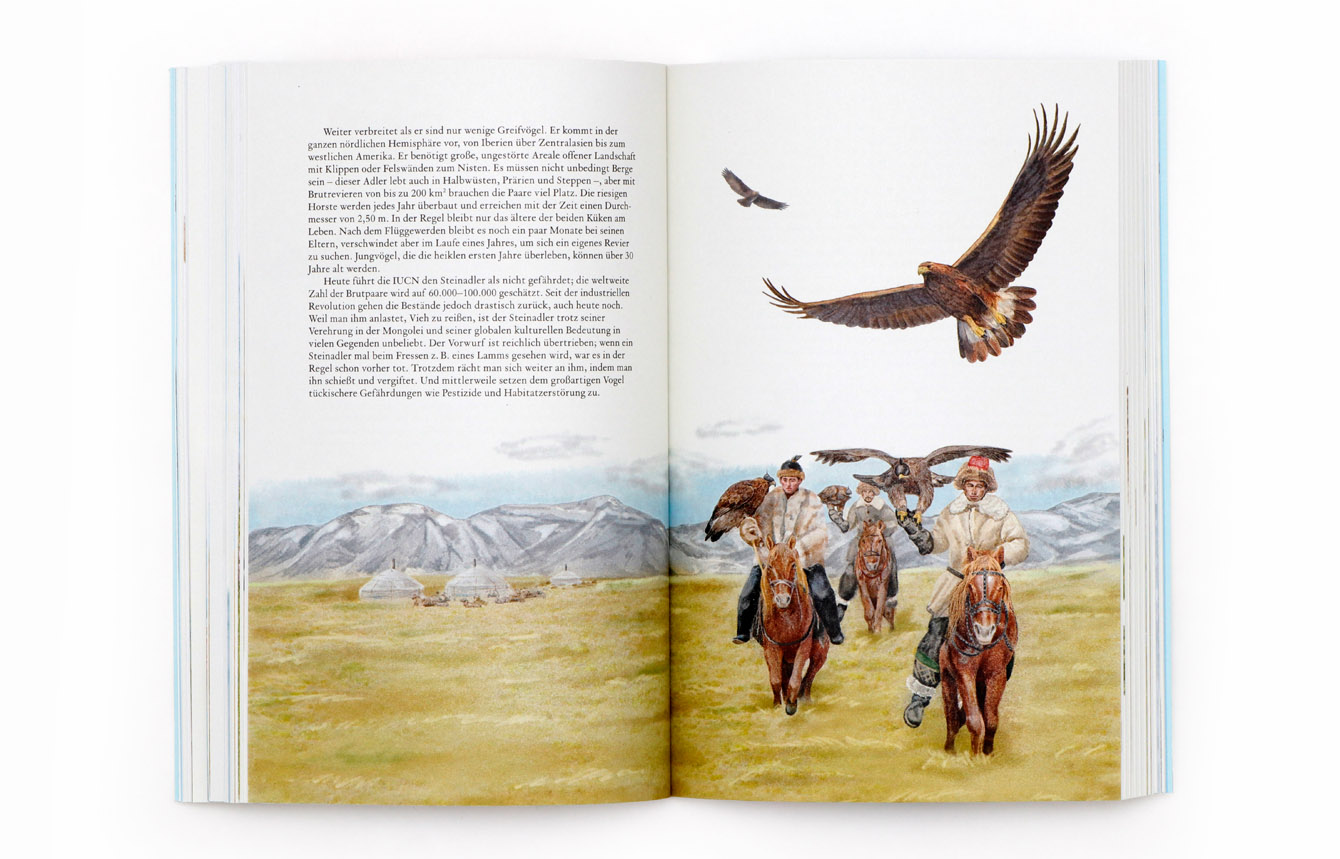 9783962443474_produktbild_10 9783962443474_produktbild_10.jpg