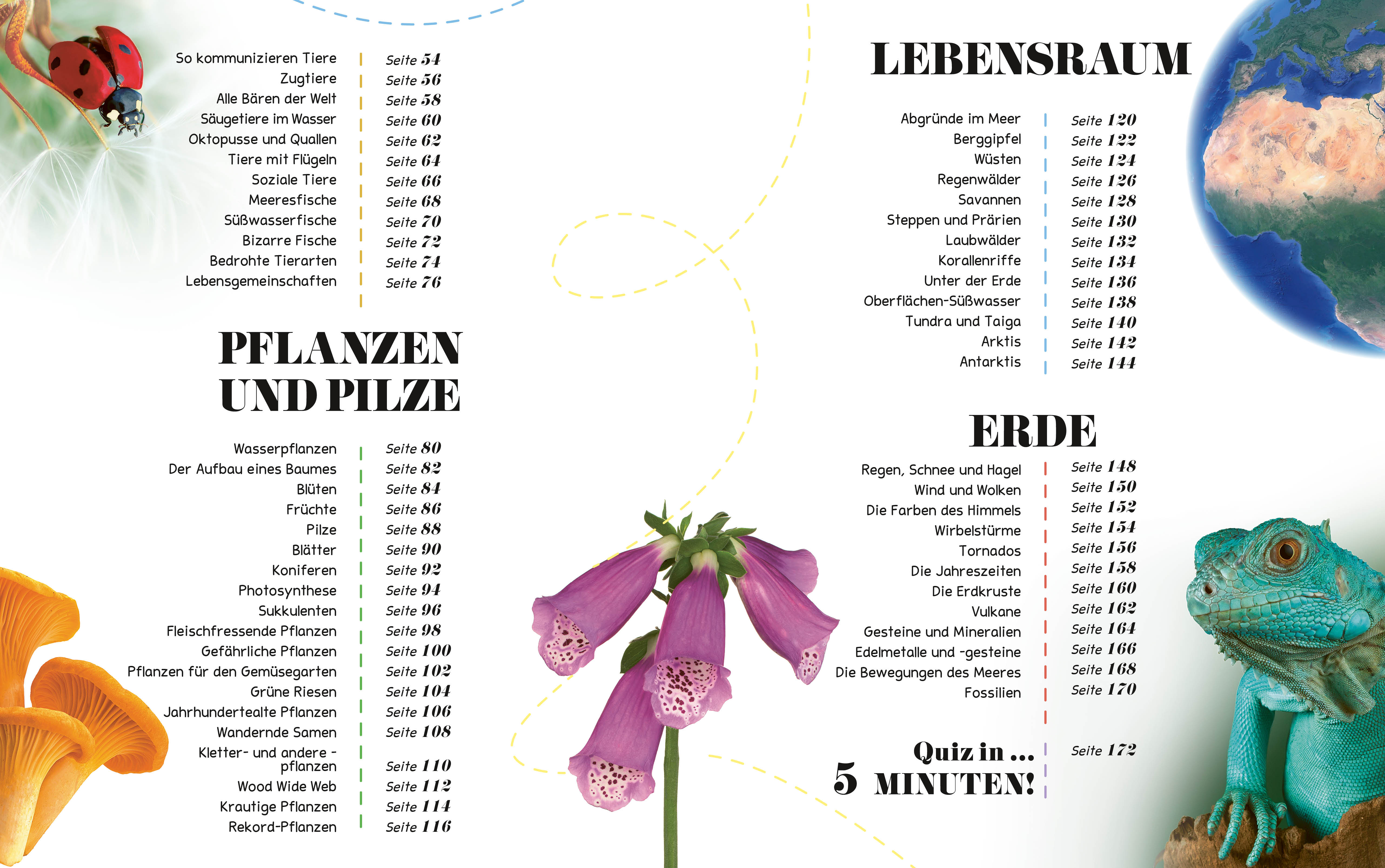 9788863127492_innenansicht_02.jpg