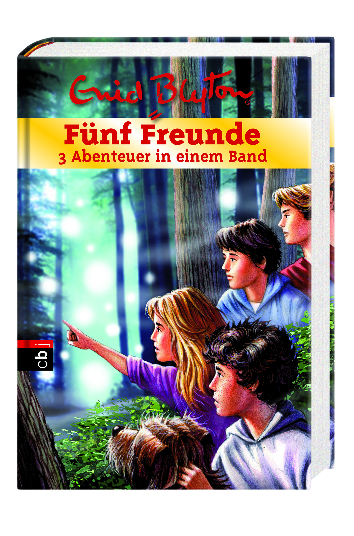 9783570173121_innenansicht_01.jpg