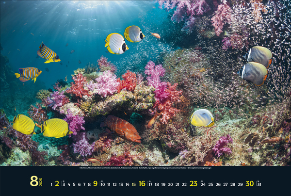 9783731888161_innenansicht_08 9783731888161_innenansicht_08.jpg