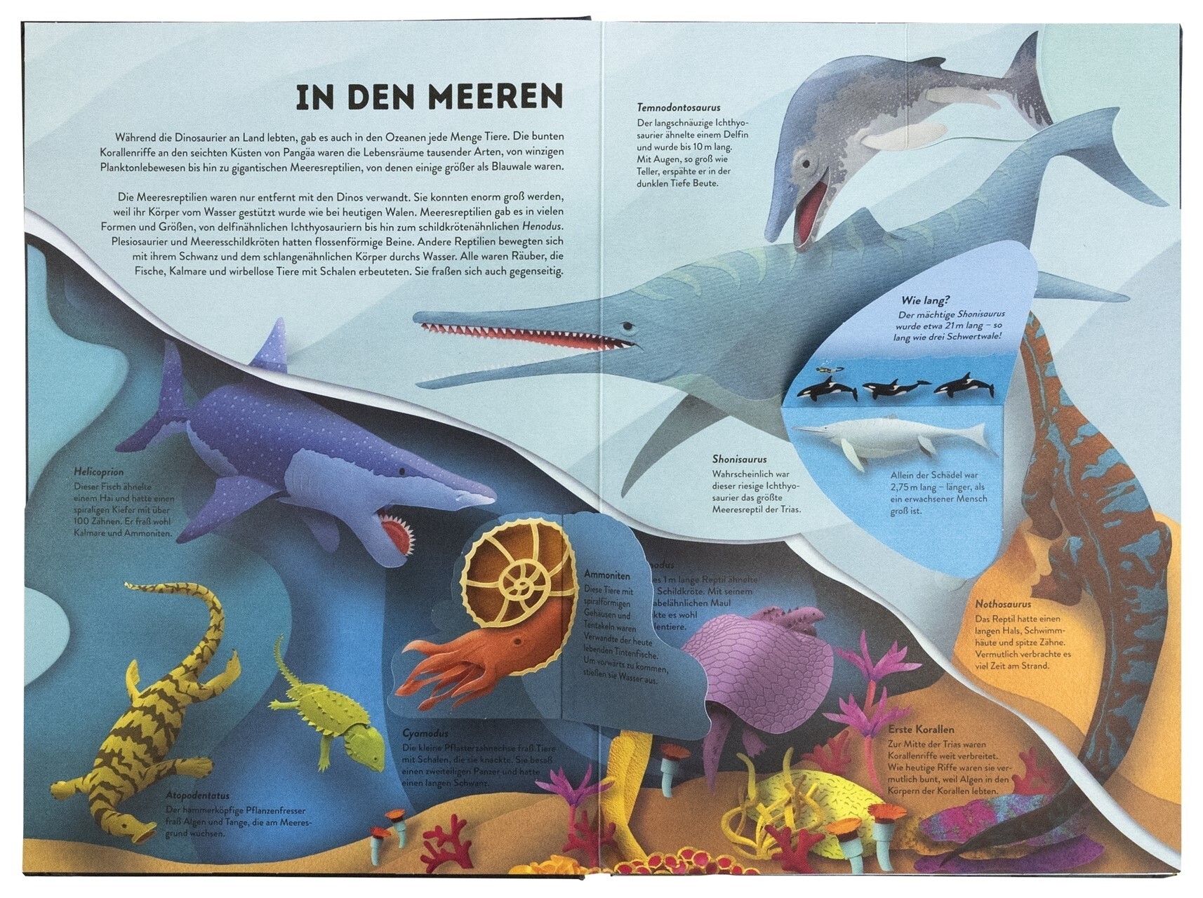 9783831051496_innenansicht_02.jpg