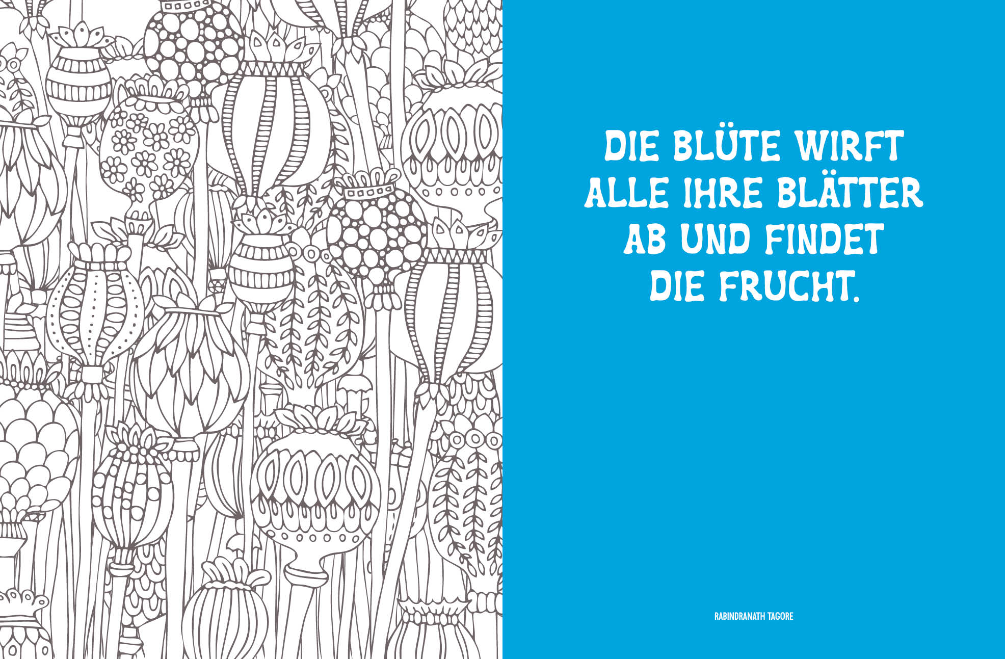 9783745909333_innenansicht_11.jpg