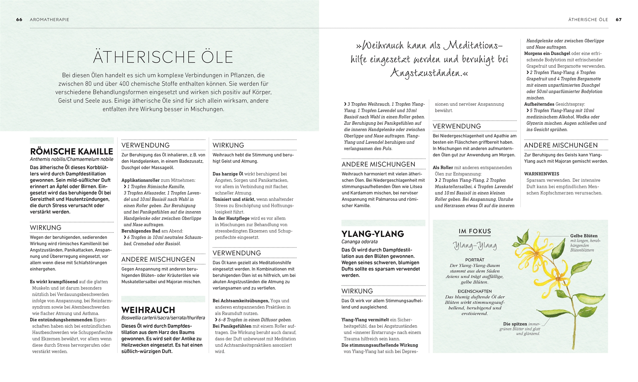 9783831042593_innenansicht_06 9783831042593_innenansicht_06.jpg