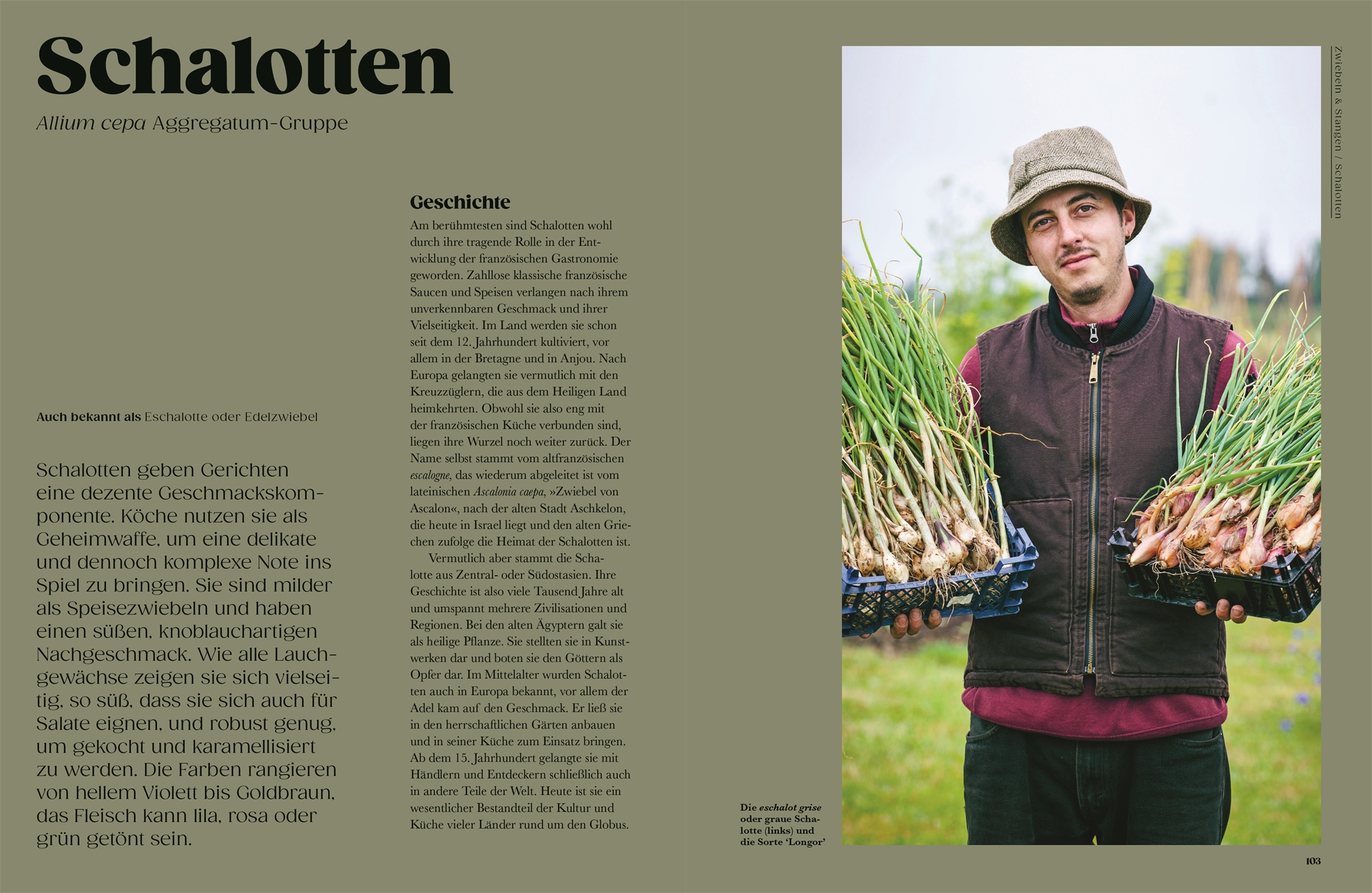 9783831051434_innenansicht_03 9783831051434_innenansicht_03.jpg