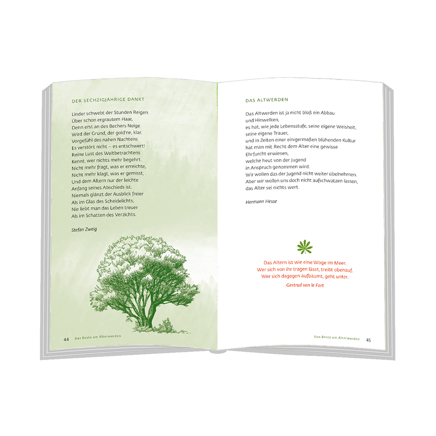 9783987001147_innenansicht_01 9783987001147_innenansicht_01.jpg