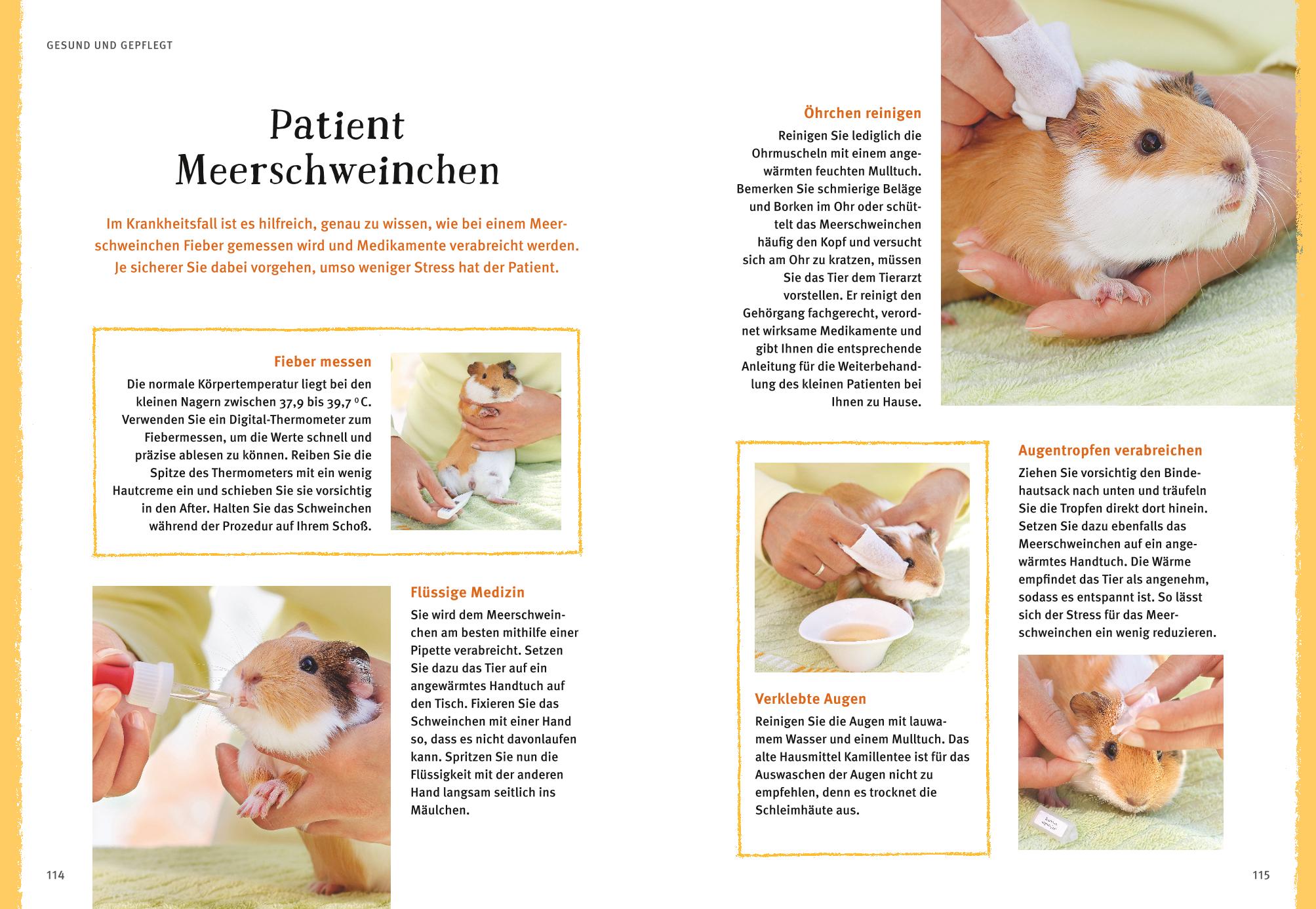 9783833842160_innenansicht_09.jpg